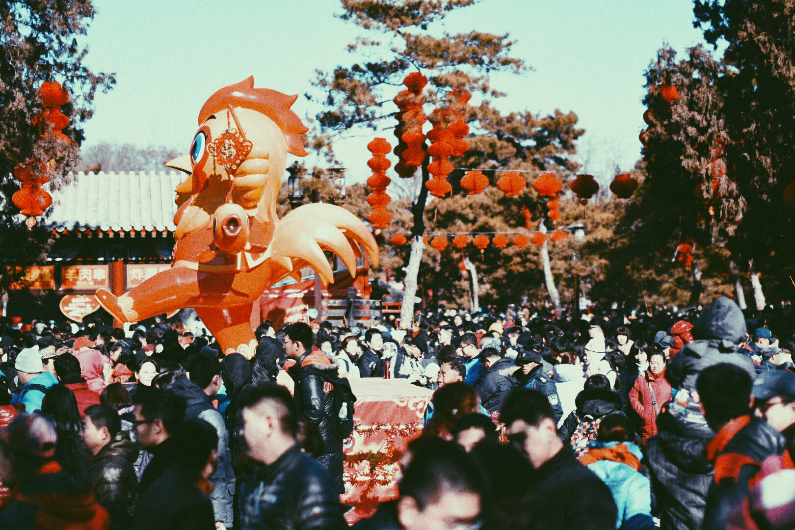 Nikon D5500 + Sigma 50mm F1.4 EX DG HSM sample photo. Chinese new year photography