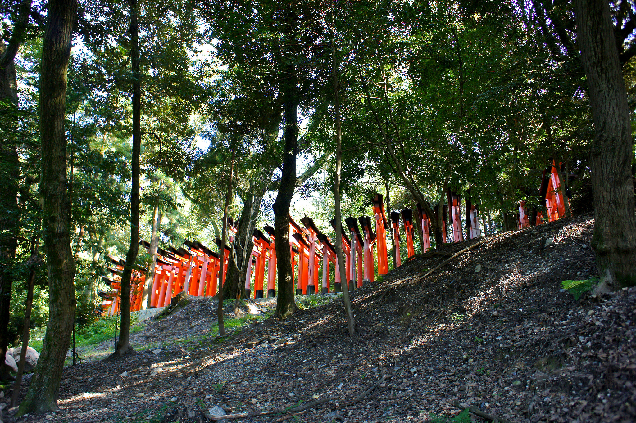 Sony Alpha NEX-3 sample photo. Kyoto mon amour photography