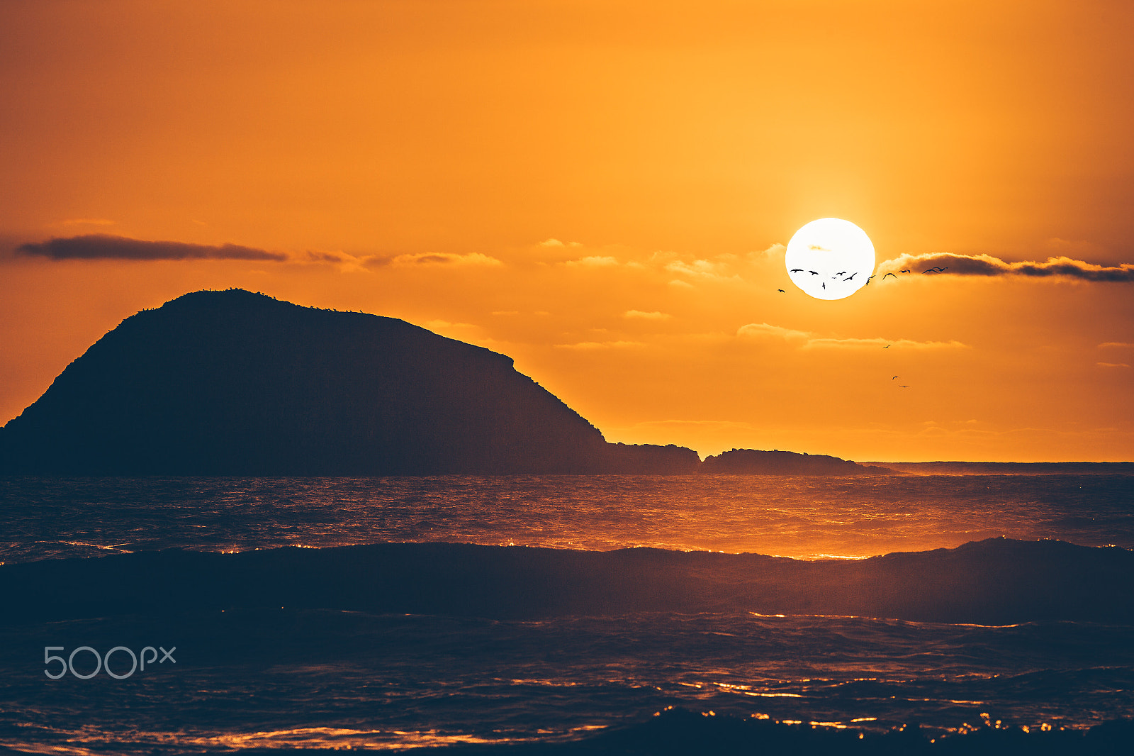 Canon EOS 6D + Canon EF 300mm f/4L sample photo. Feeling warm photography