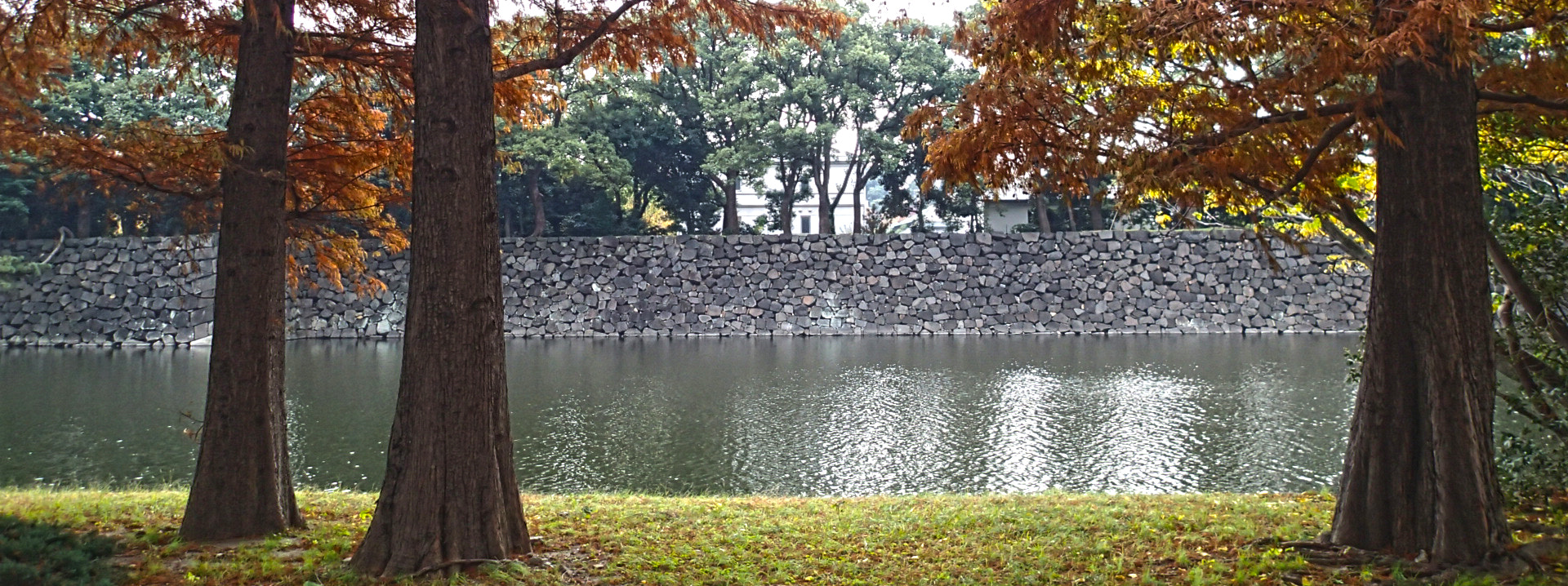 Olympus TG-2 sample photo. 27713340652.jpg photography