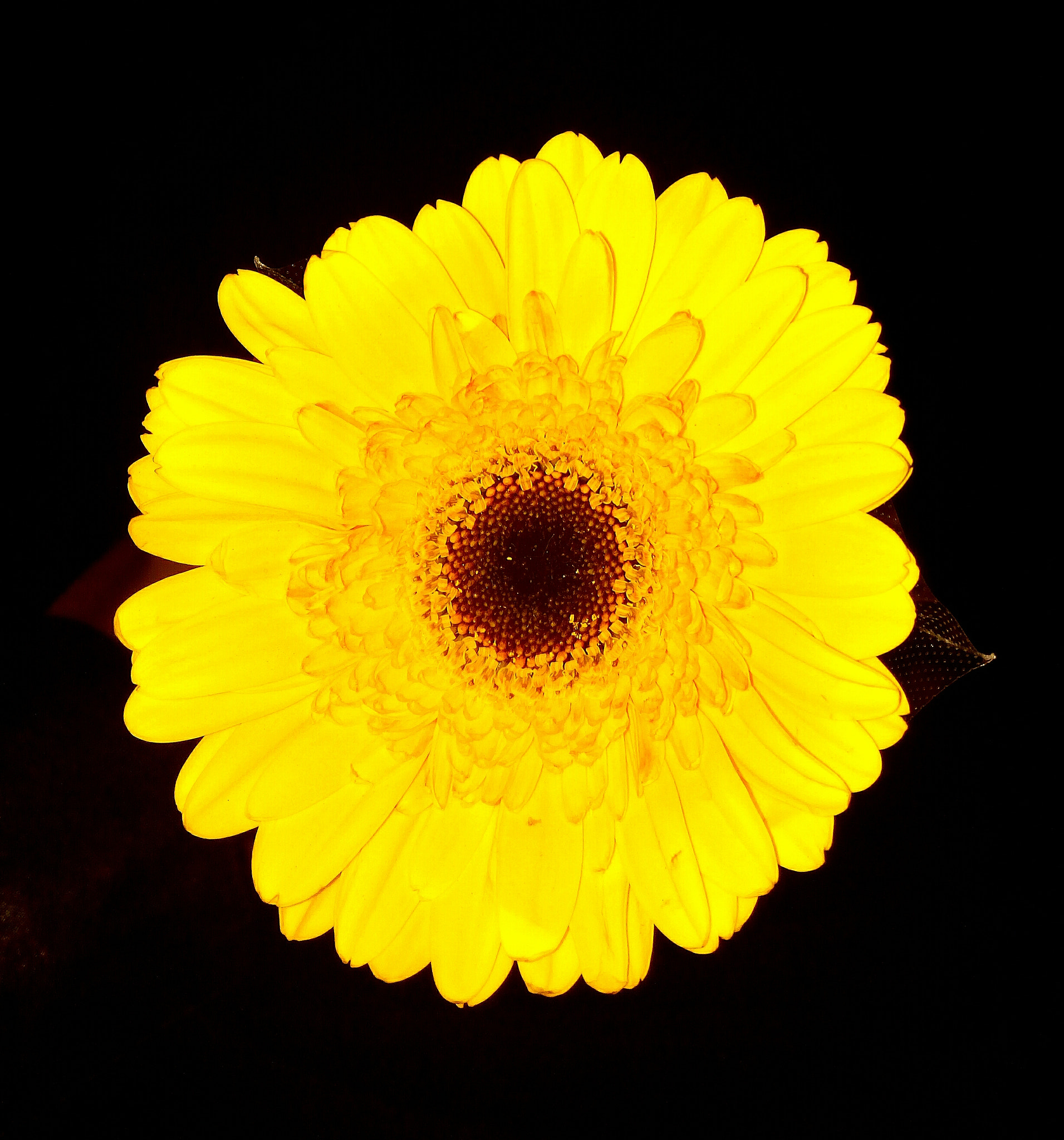 HUAWEI GR3 sample photo. Peaceful photography