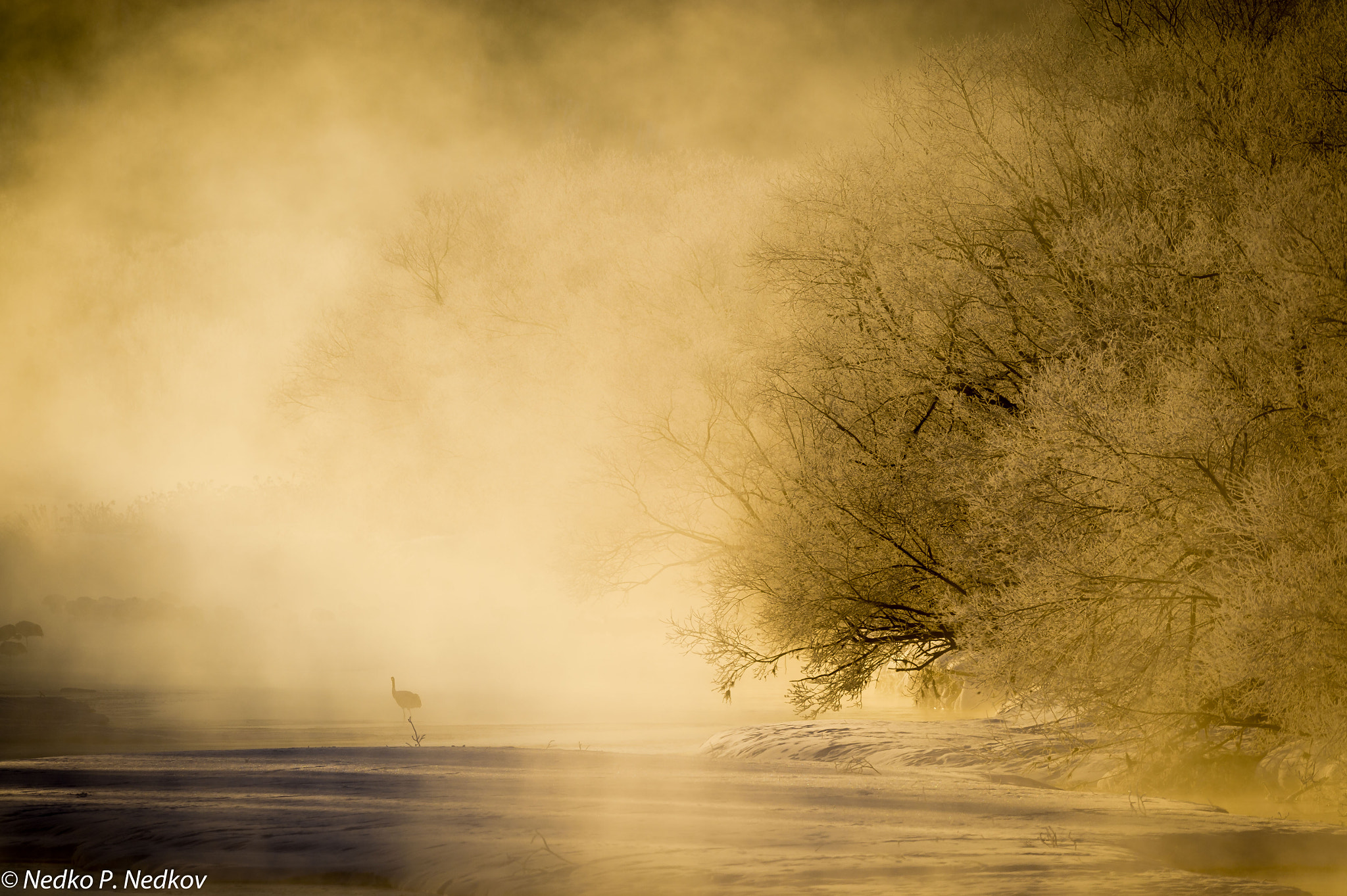 Nikon AF-S Nikkor 600mm F4E FL ED VR sample photo. Frozen riverscape photography