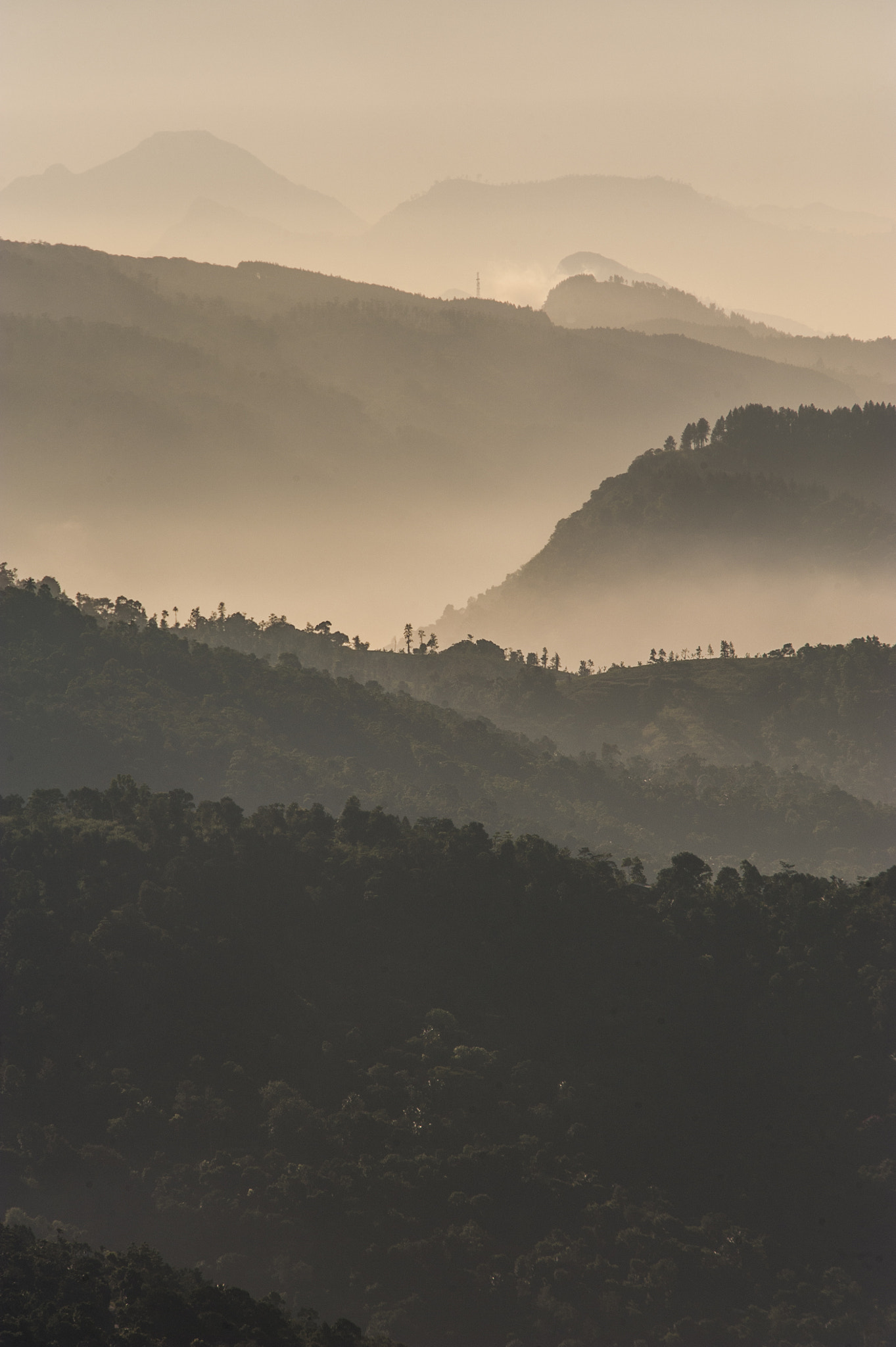 Nikon D3 sample photo. Madulkele sunrise photography