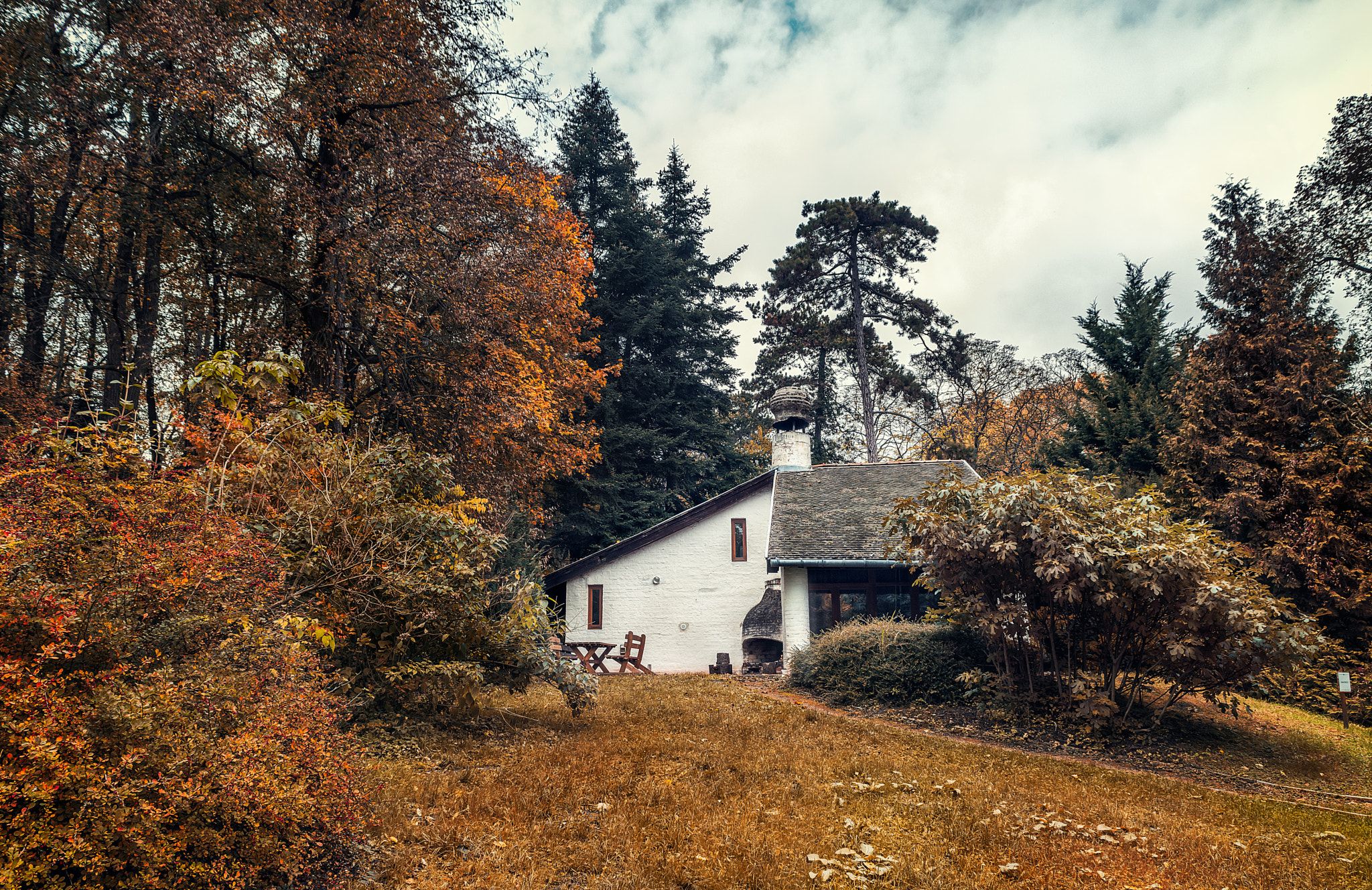 Sigma 24-70mm F2.8 EX DG Macro sample photo. Cozy little house in the forest photography