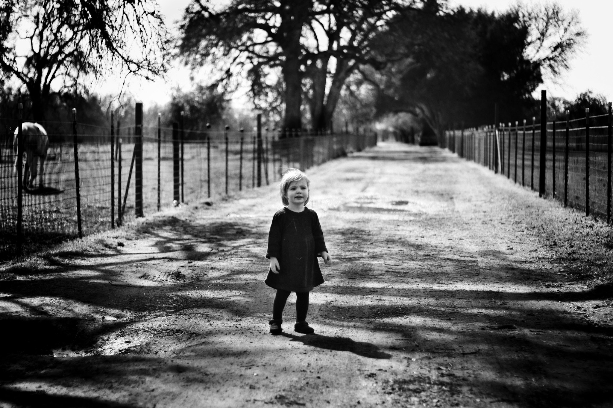 Canon EOS 50D + Canon EF 50mm f/1.8 sample photo. Monochromatic juvenescence photography