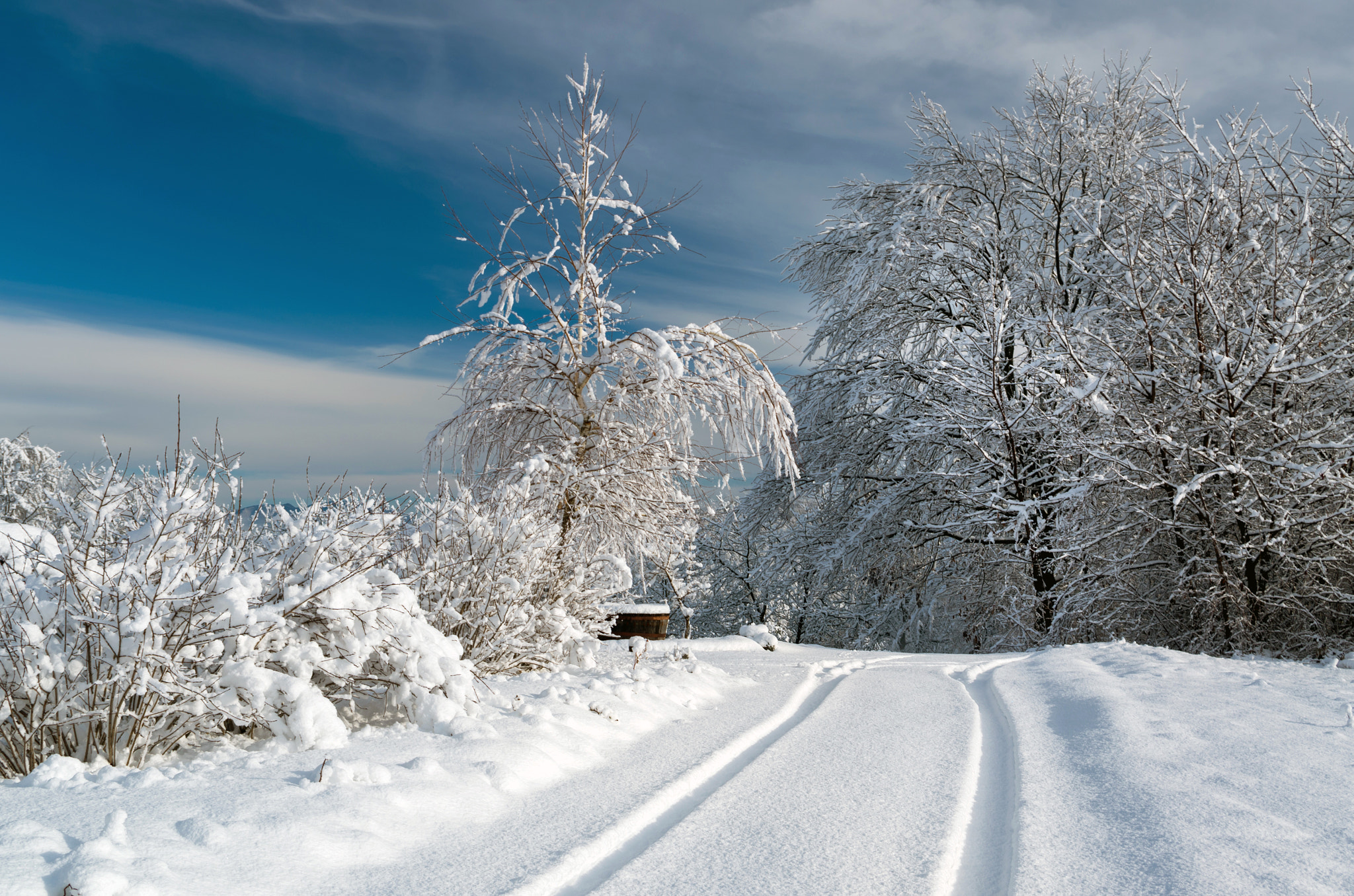 Pentax K-5 II sample photo. Footprint in the snow photography