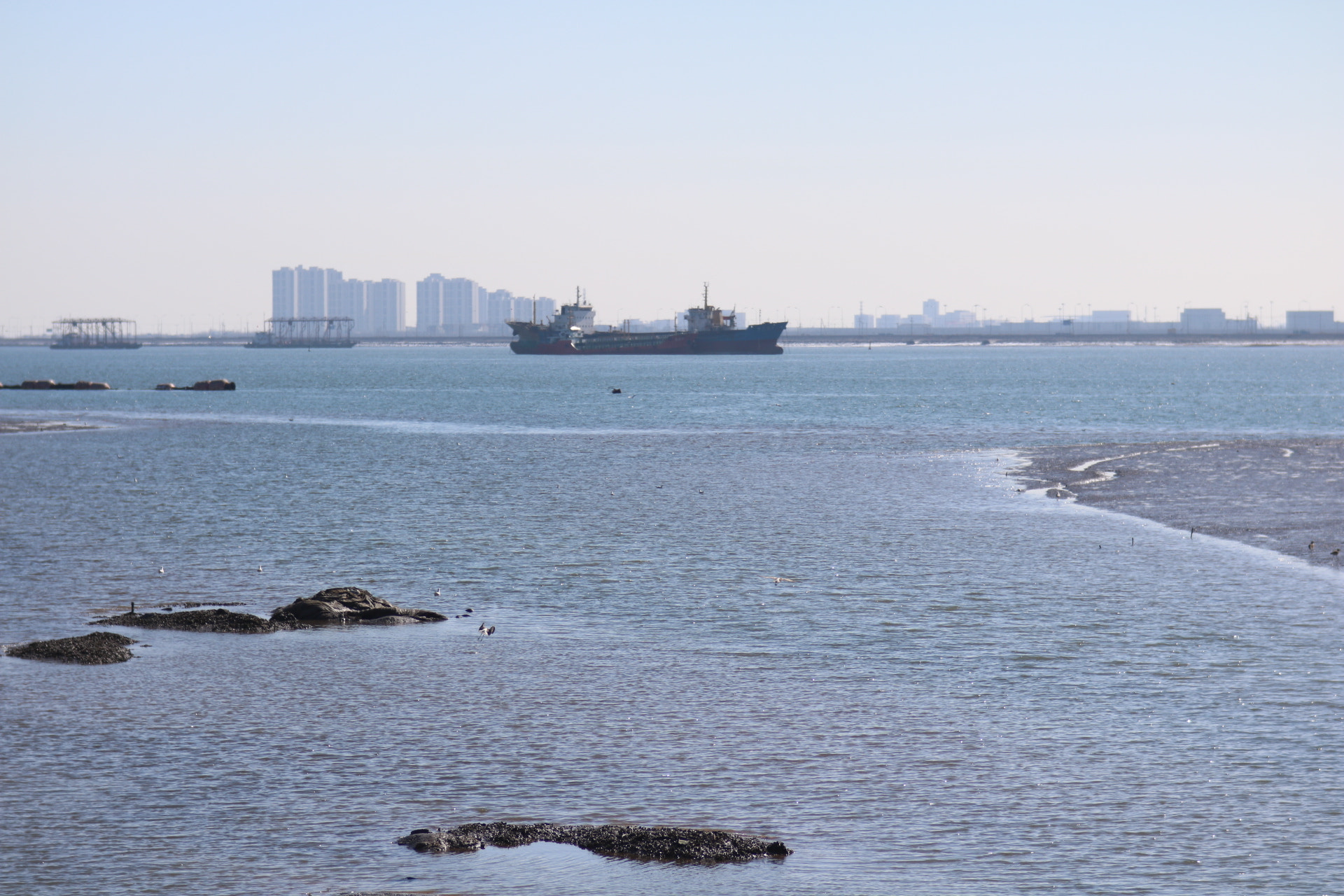 Canon EF 35-80mm f/4-5.6 sample photo