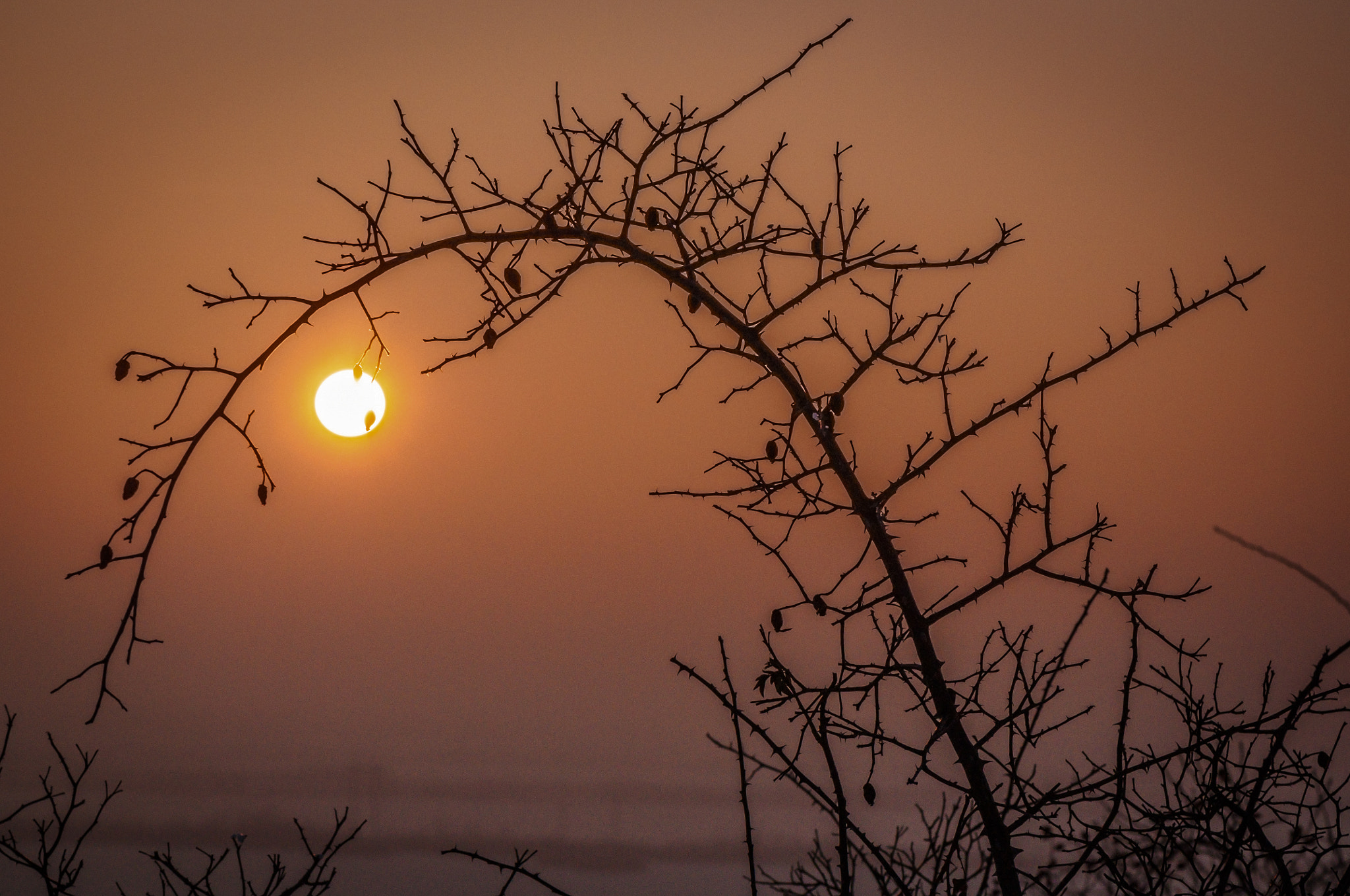 Nikon AF-S Micro-Nikkor 105mm F2.8G IF-ED VR sample photo. Frosty sunset photography