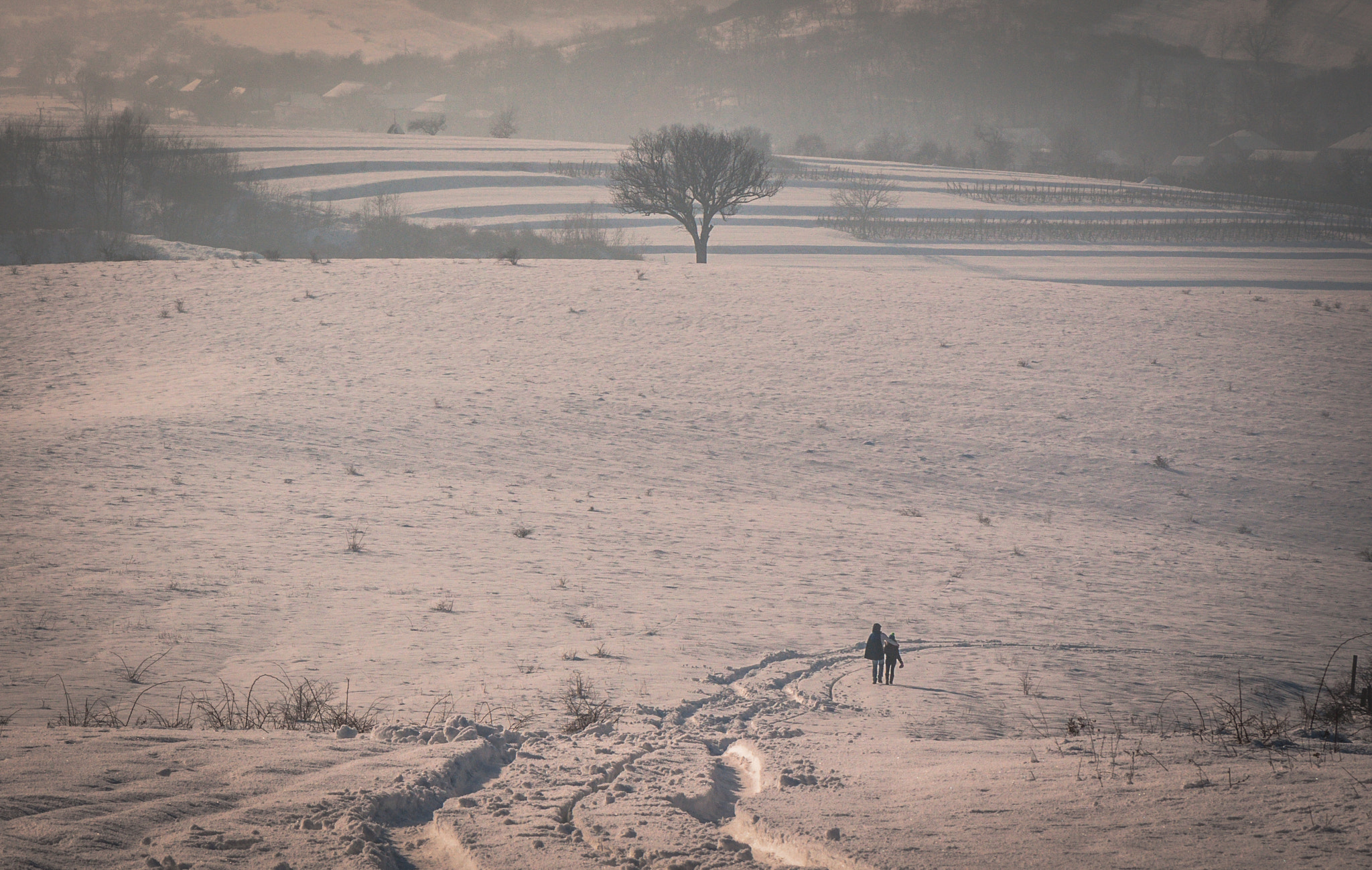 Nikon AF-S Micro-Nikkor 105mm F2.8G IF-ED VR sample photo. Embraced and through the winter photography