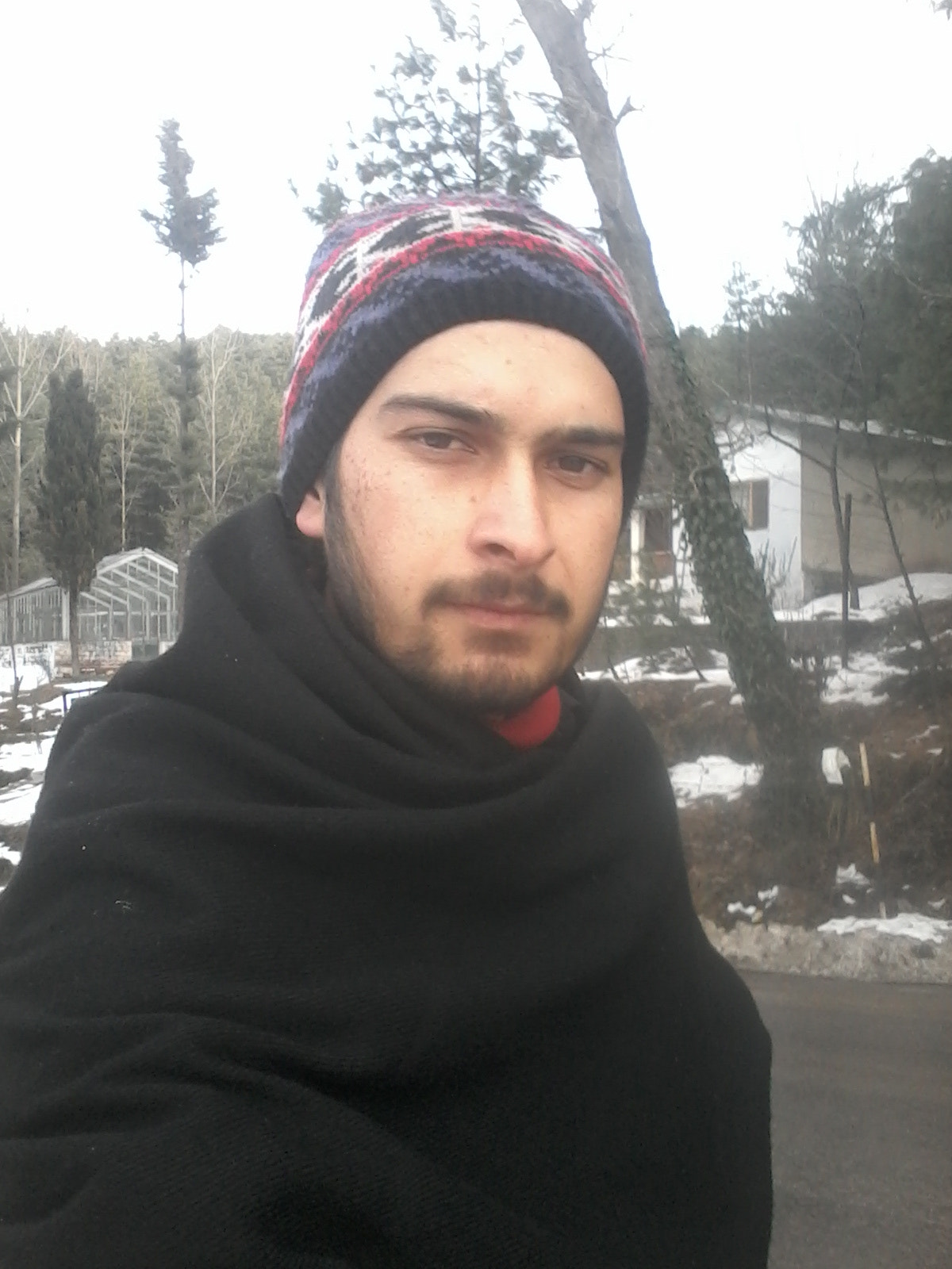 Samsung Galaxy Star Plus sample photo