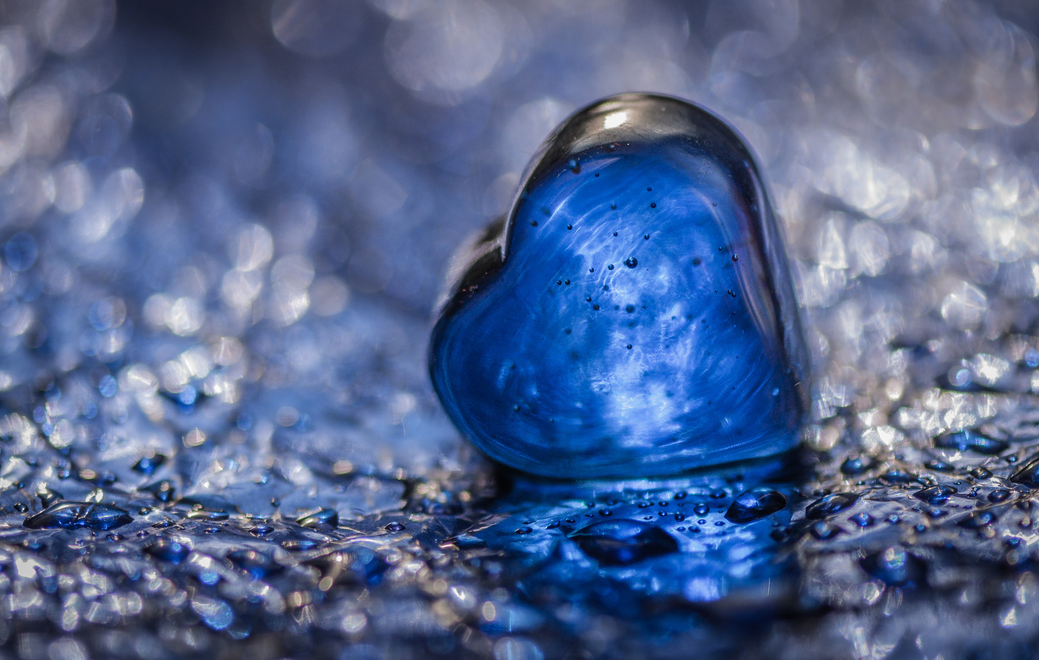 Nikon AF-S Micro-Nikkor 105mm F2.8G IF-ED VR sample photo. Blue story. Синя історія. photography