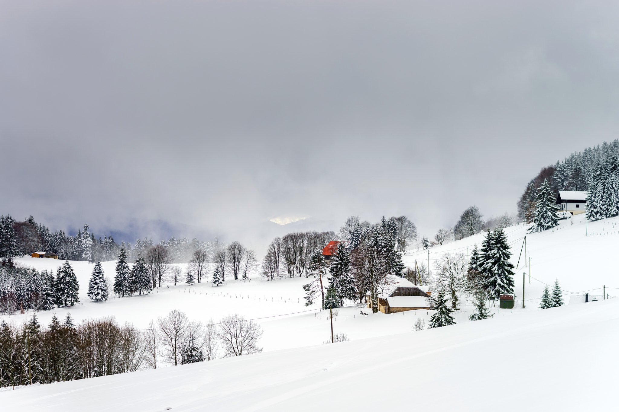 Sony a99 II sample photo. Beautiful winter snowy landscape with fog photography