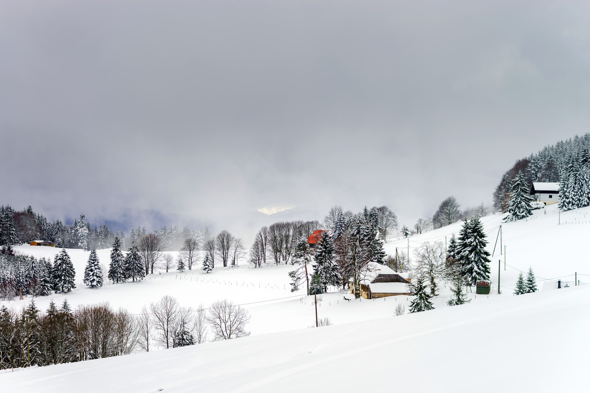 Sony a99 II + Minolta AF 80-200mm F2.8 HS-APO G sample photo. Beautiful winter snowy landscape with fog photography