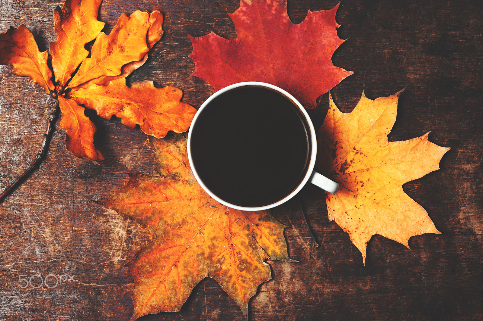 Canon EOS-1Ds Mark II sample photo. Autumn fall background  with leaves and cup of black coffee - au photography