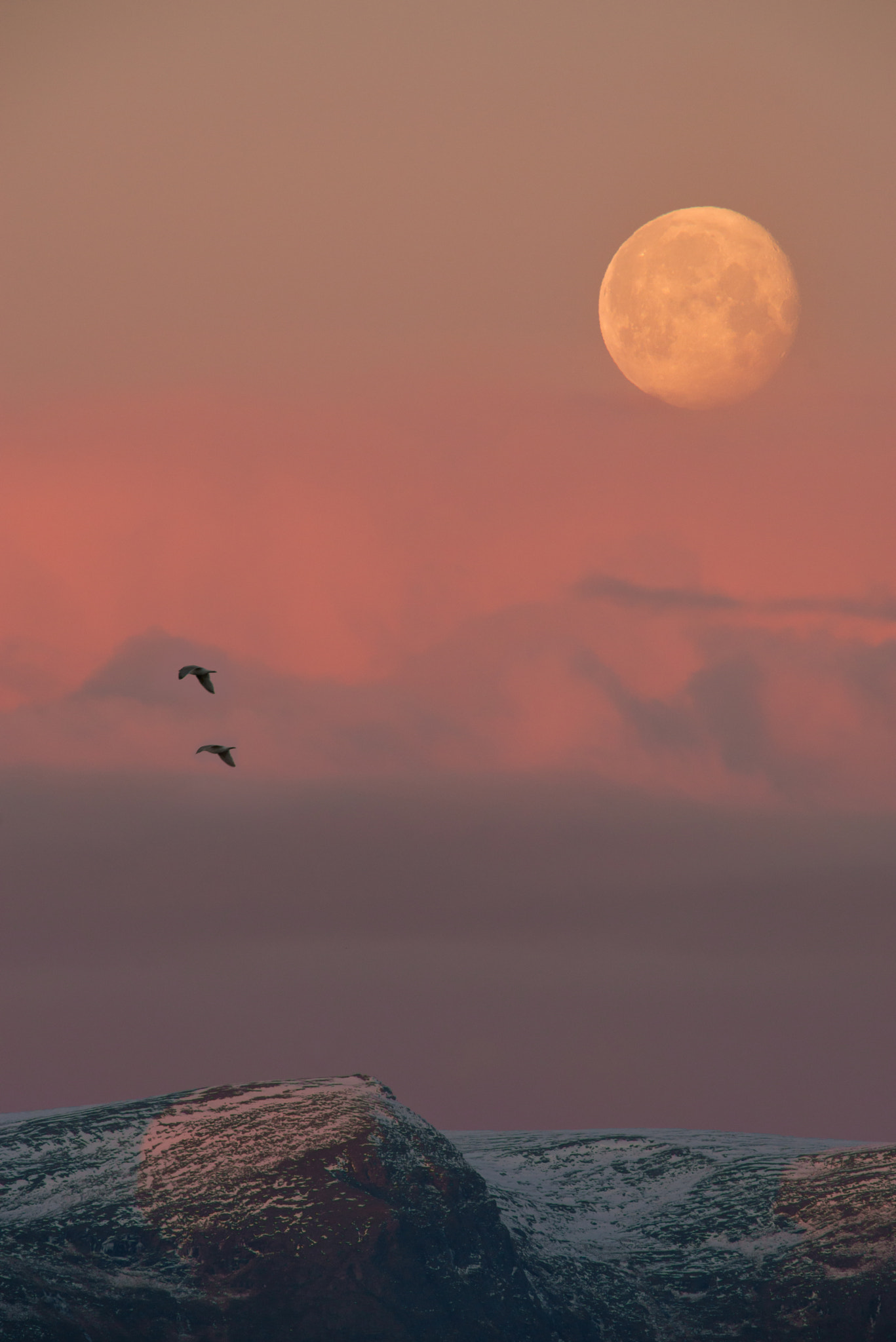 Pentax K-1 sample photo. Supermoon over mountains in hammerfest photography