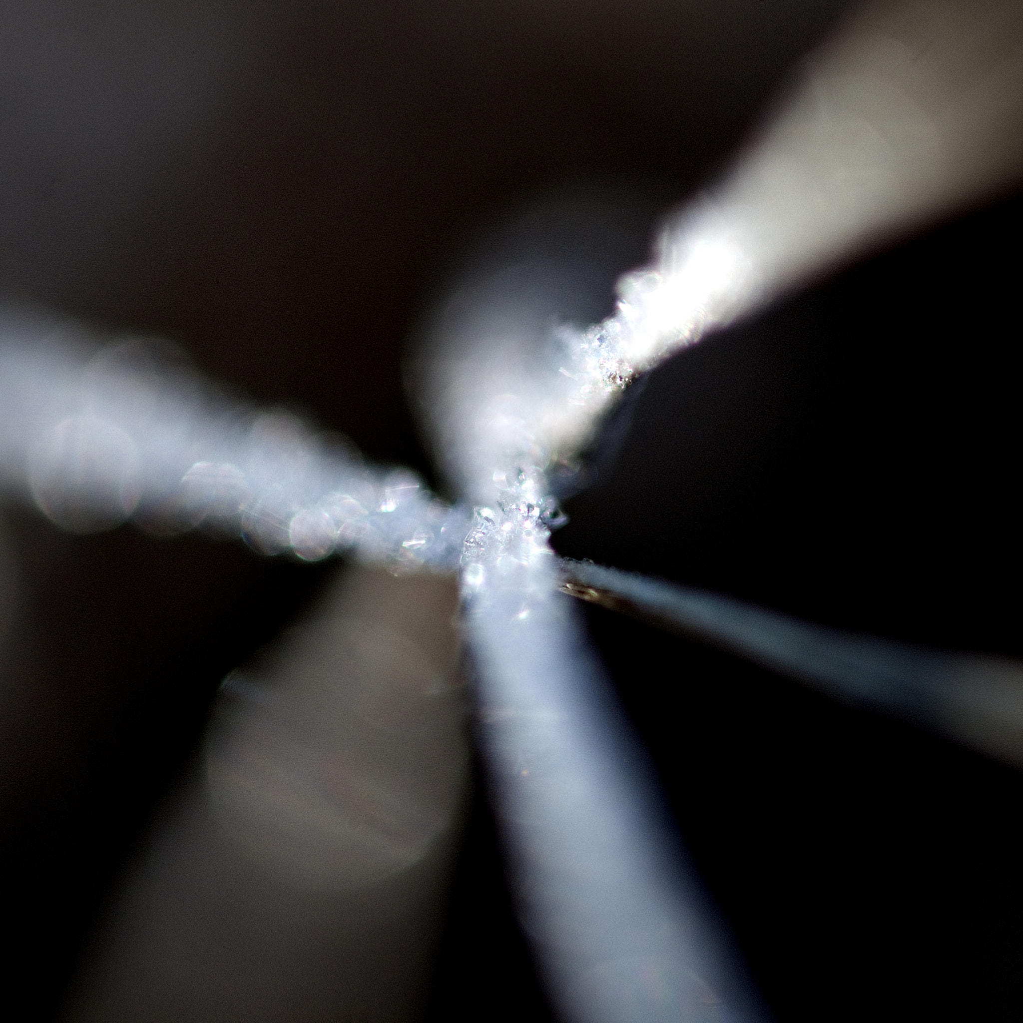 Nikon AF-S Micro-Nikkor 105mm F2.8G IF-ED VR sample photo. Ster photography