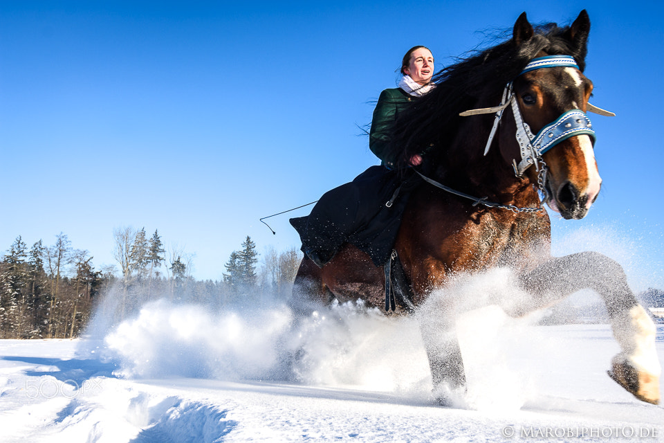 Nikon D7200 + Tokina AT-X Pro 12-24mm F4 (IF) DX sample photo. Horse in the snow photography