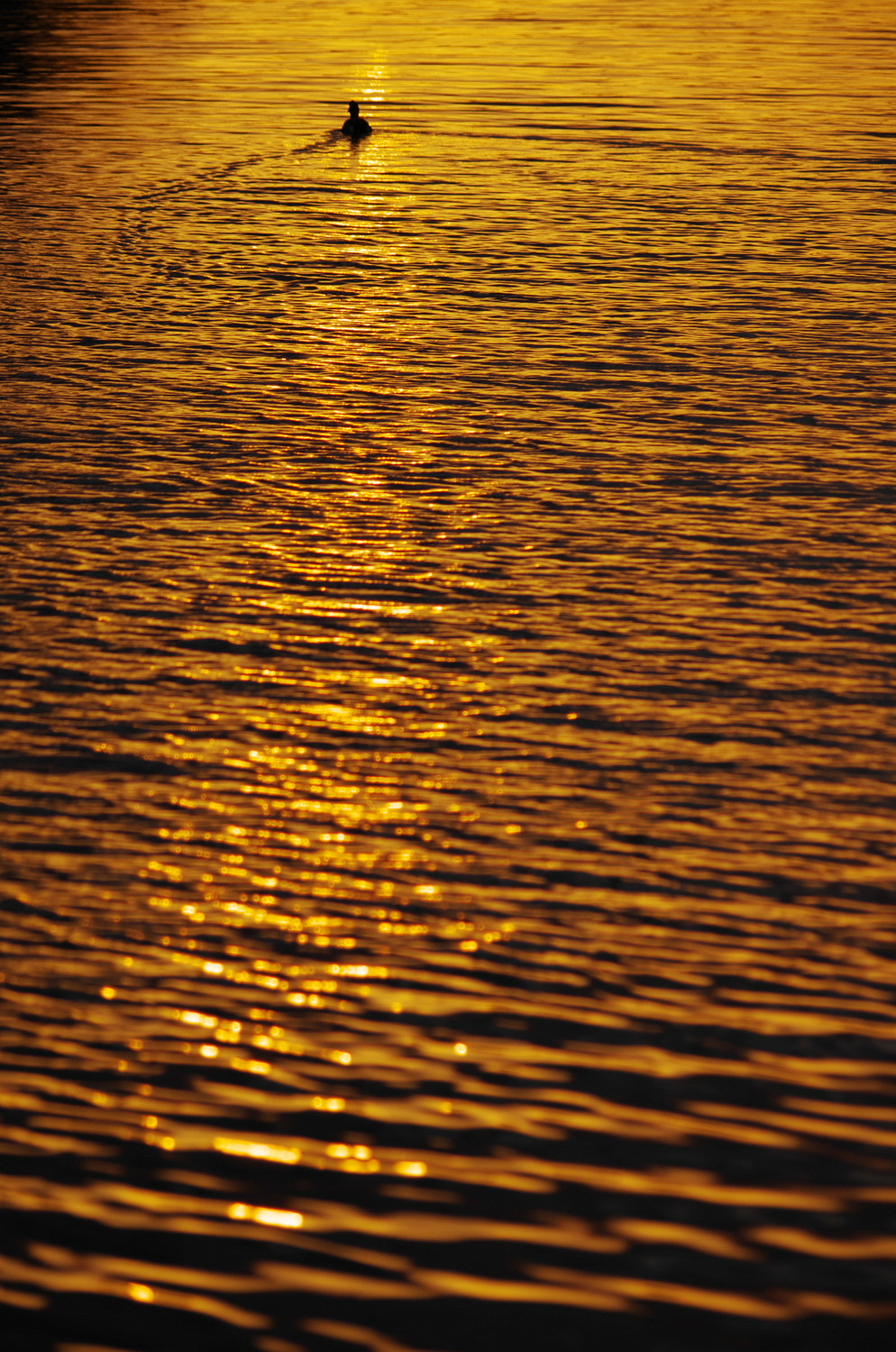 smc PENTAX-DA L 55-300mm F4-5.8 ED sample photo. Ripple photography