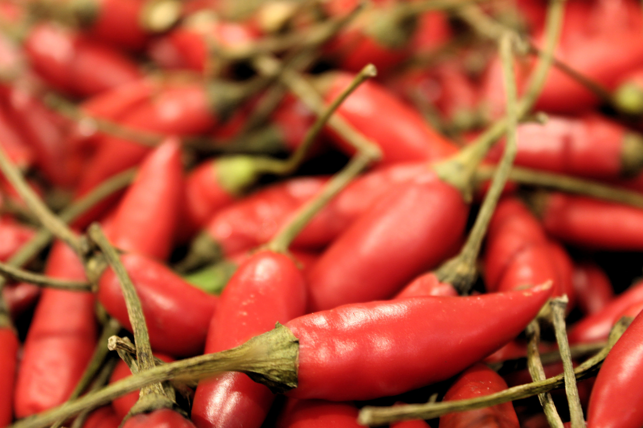 Canon EOS 600D (Rebel EOS T3i / EOS Kiss X5) sample photo. All food should be macro photography