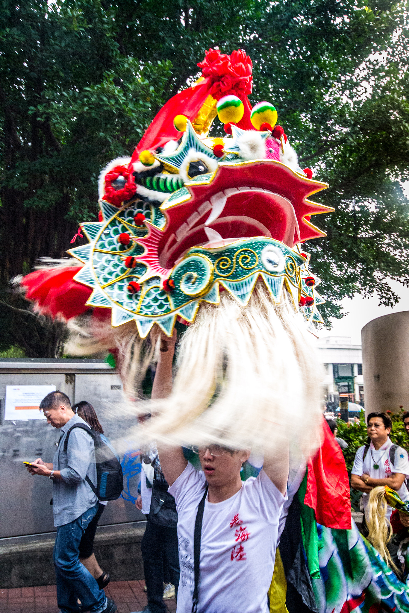 Nikon D3100 sample photo. Dragon head in chinese new year photography