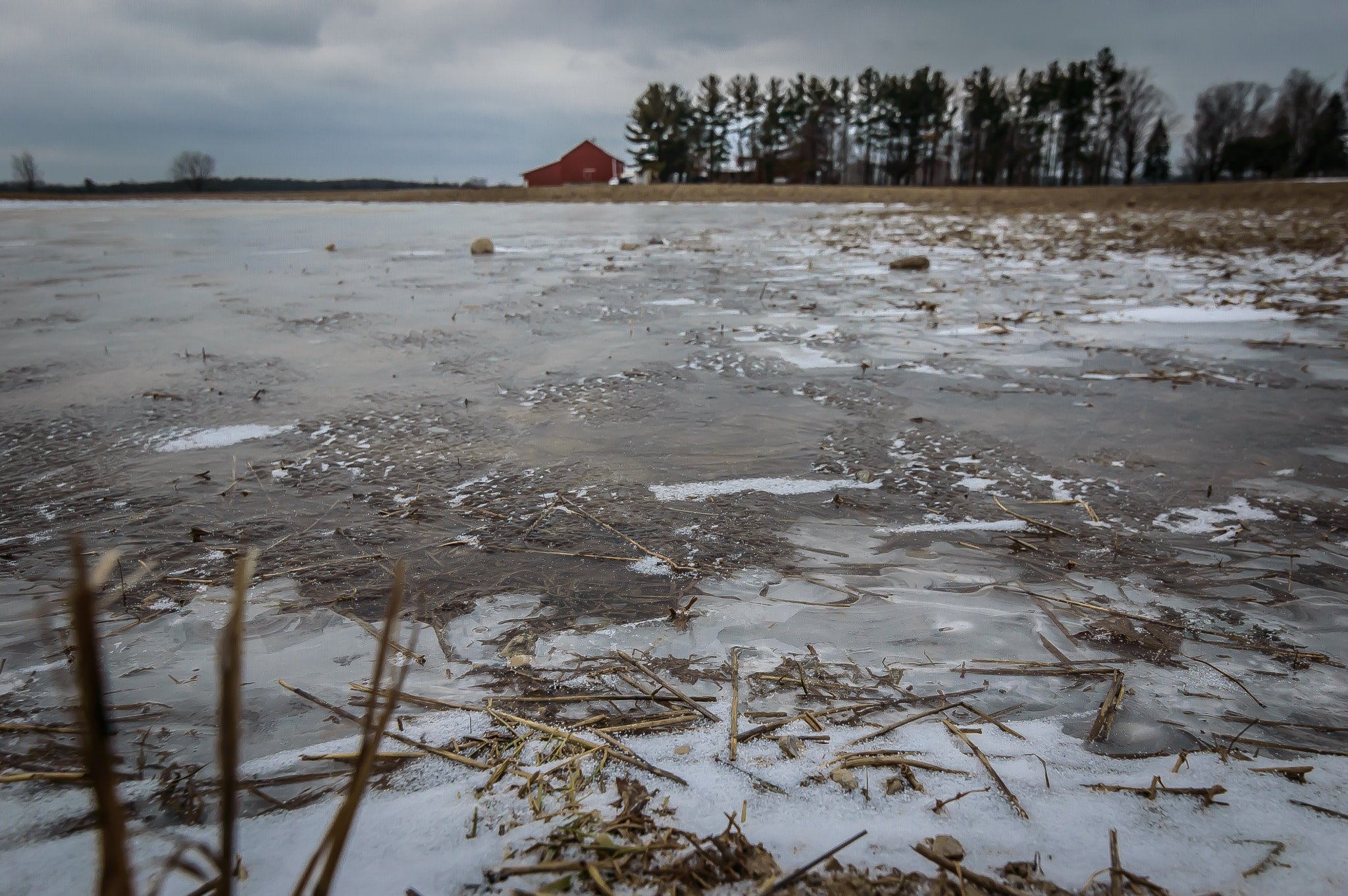 Nikon D3200 sample photo. 4.jpg photography