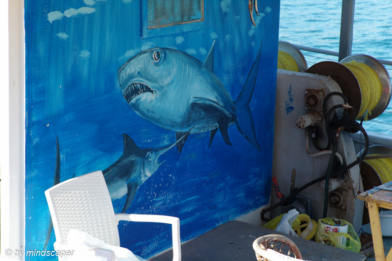 Leica M9 + Leica Summicron-M 90mm f/2 (II) sample photo. On the sharkman's fisherboat photography