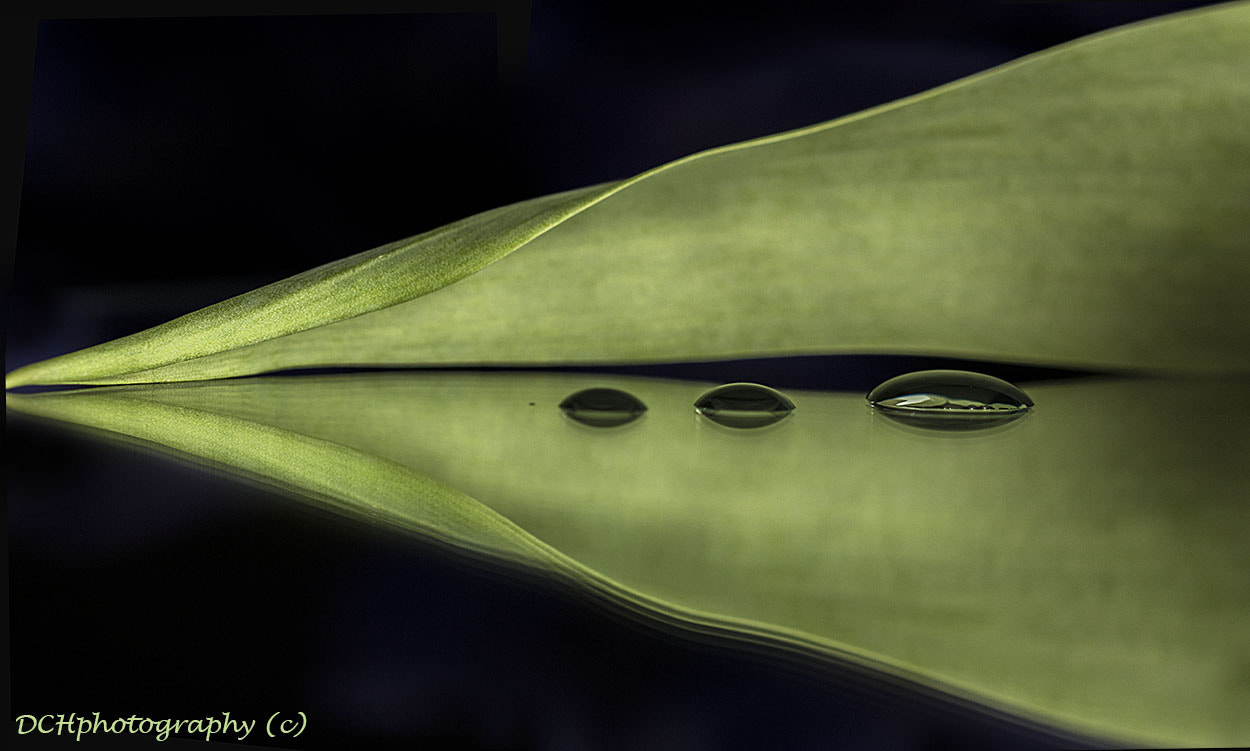 Canon EOS 650D (EOS Rebel T4i / EOS Kiss X6i) sample photo. Droplets photography