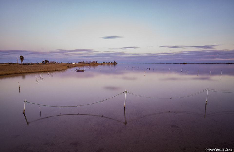 Olympus M.Zuiko Digital ED 7-14mm F2.8 PRO sample photo. Calm at the delta photography