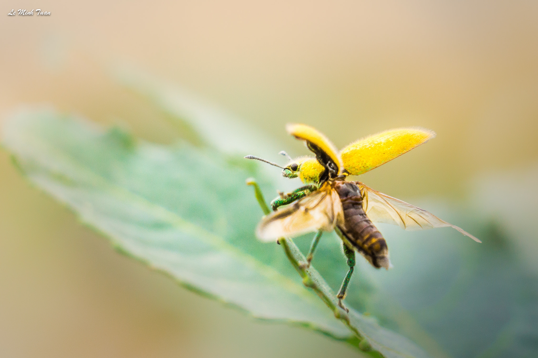 Sony Alpha NEX-7 + Sony E 55-210mm F4.5-6.3 OSS sample photo. Taking off photography