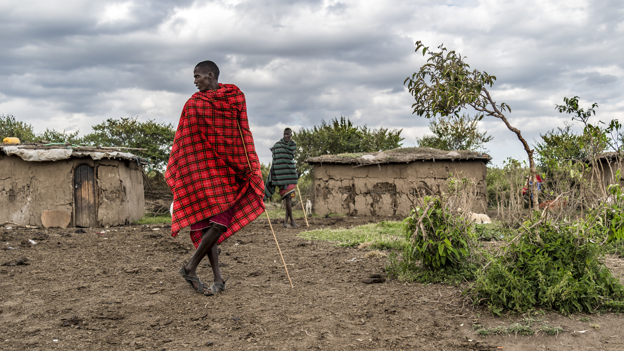 Nikon D500 sample photo. The masai photography
