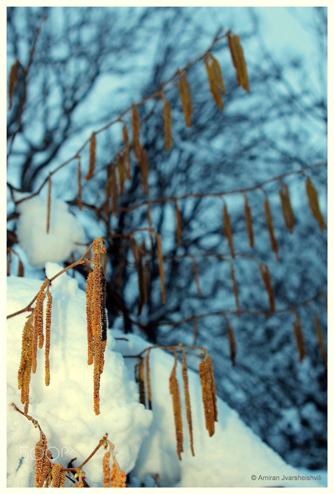 Canon EOS 700D (EOS Rebel T5i / EOS Kiss X7i) + Canon EF 24-70mm F2.8L USM sample photo. Snow photography