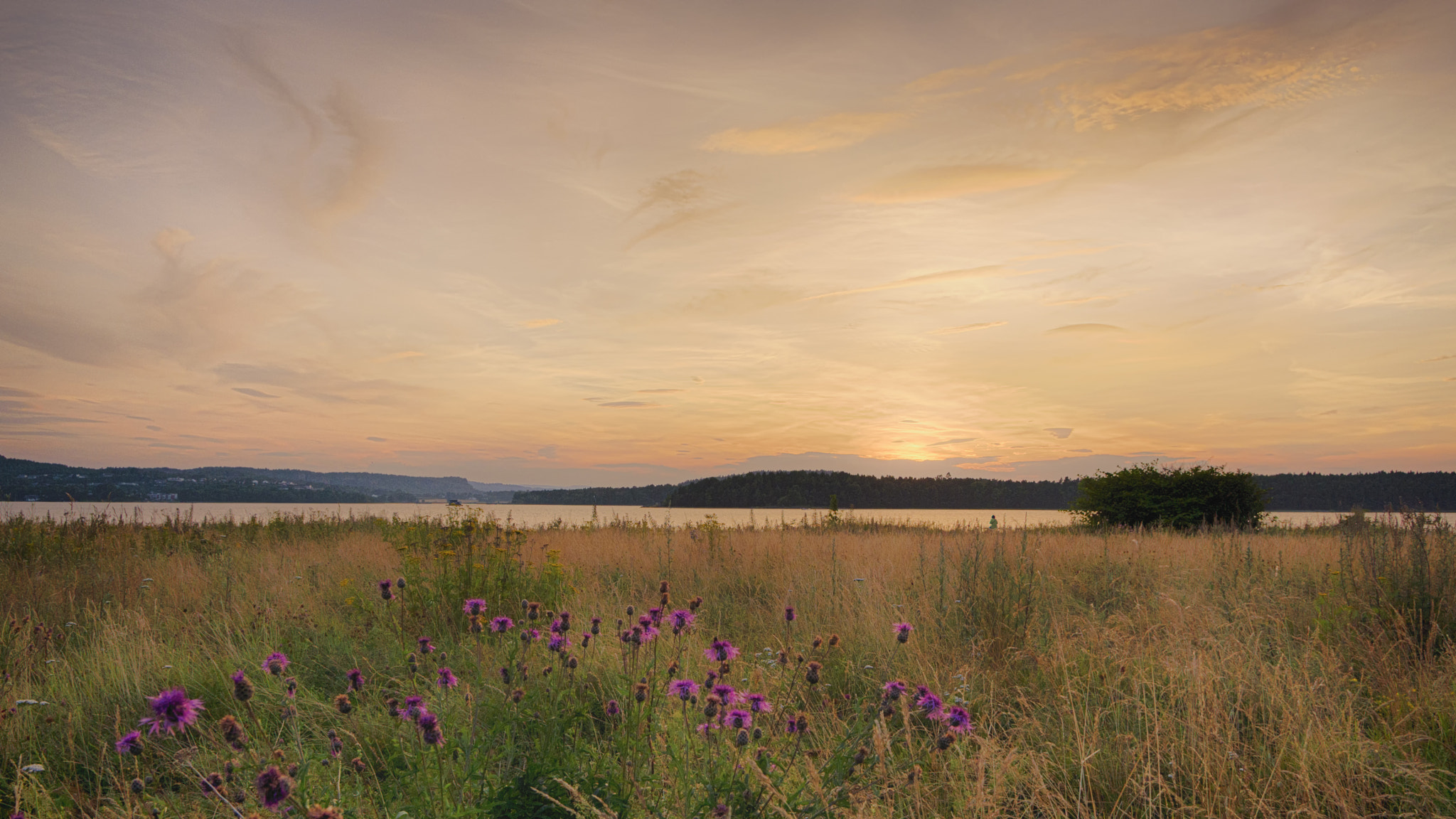 Sigma 17-50mm F2.8 EX DC OS HSM sample photo. Sommernatt photography