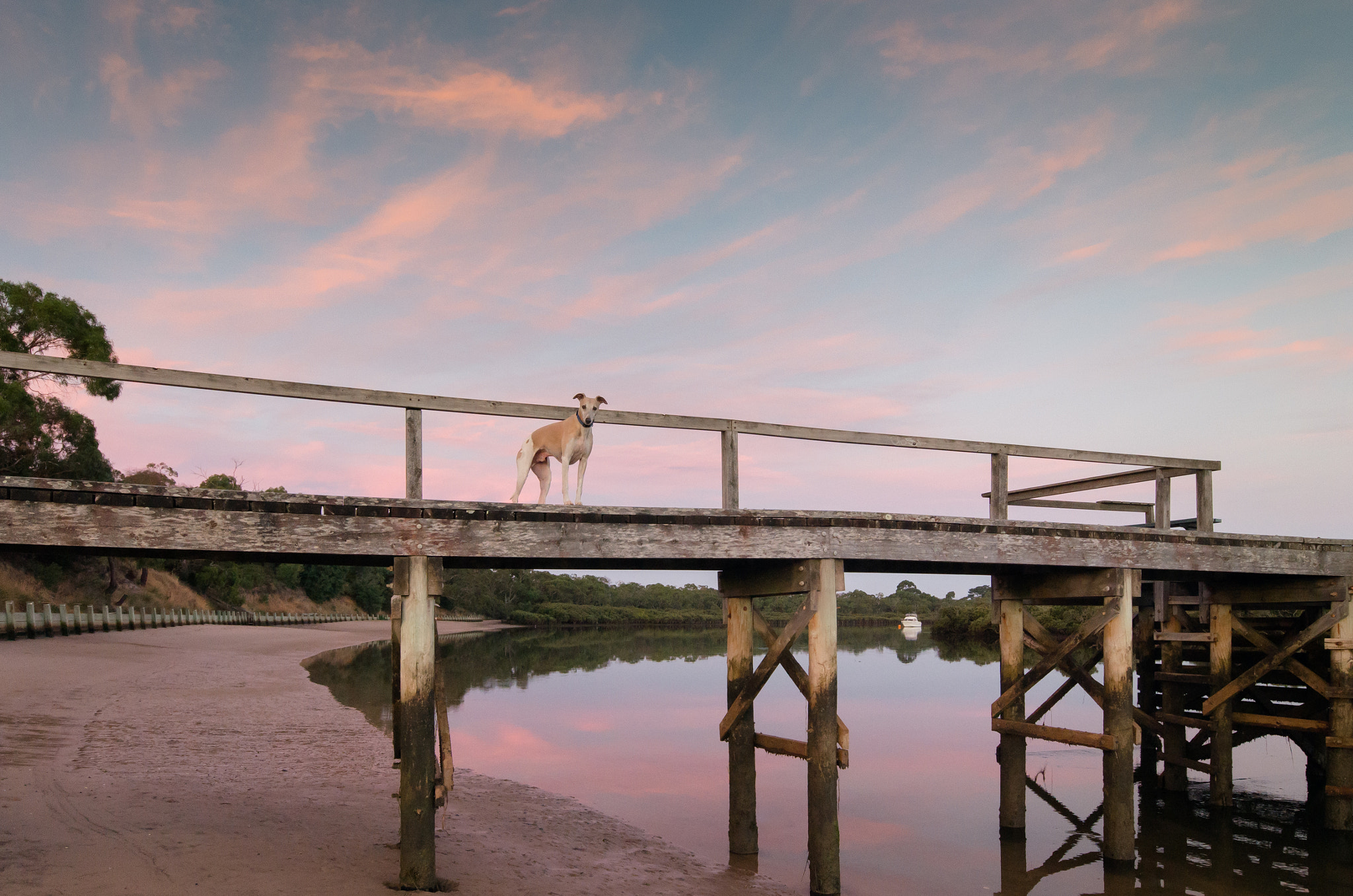 Pentax K-5 IIs + Sigma AF 10-20mm F4-5.6 EX DC sample photo. Jessie at sunset photography