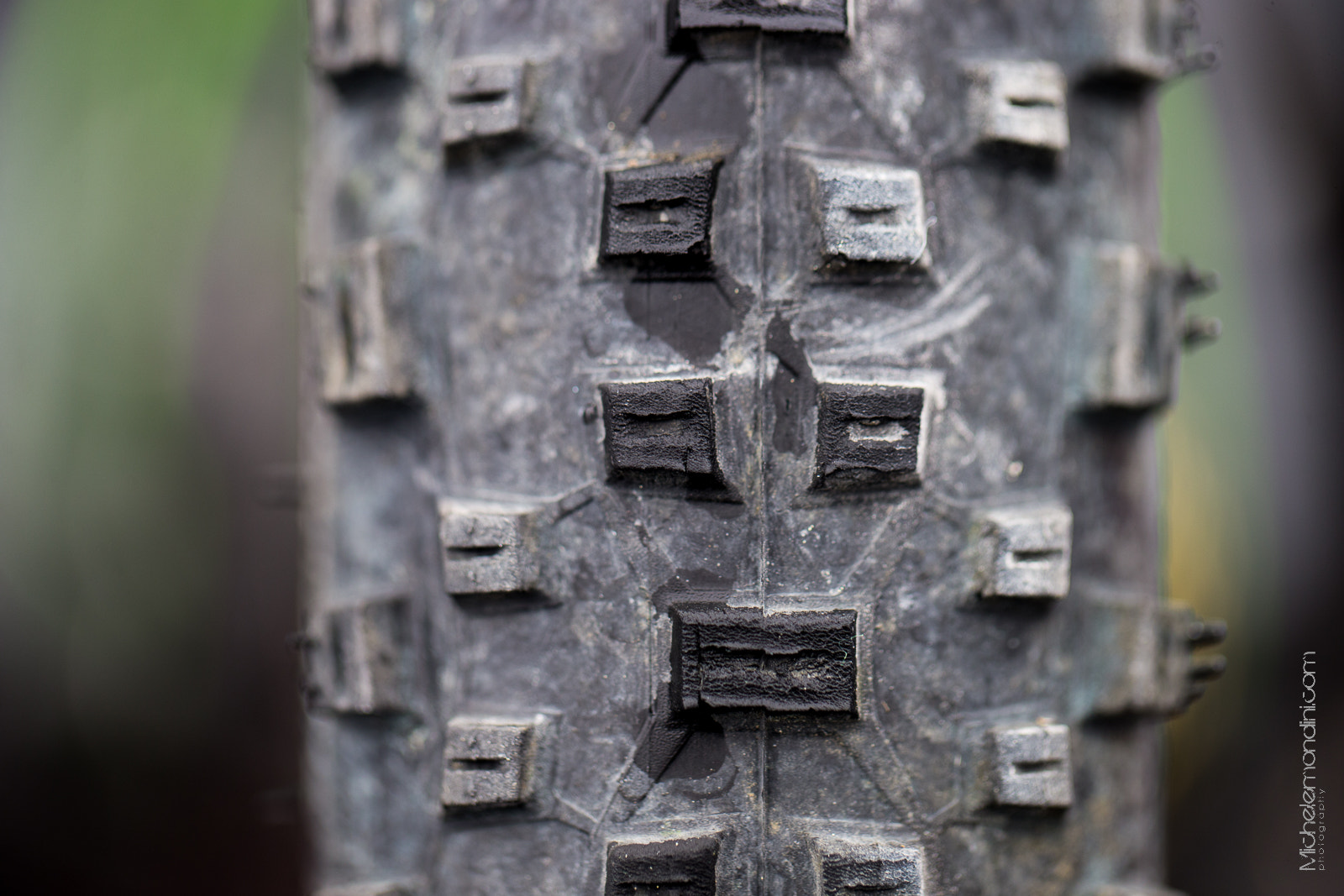 Canon EF 100mm F2.8L Macro IS USM sample photo. Get closer photography