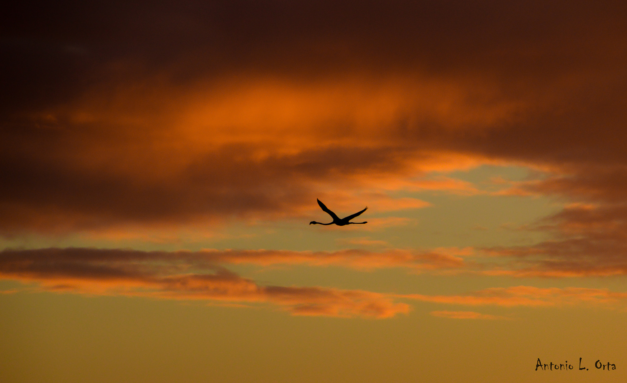 Nikon D3200 sample photo. Hora de dormir photography
