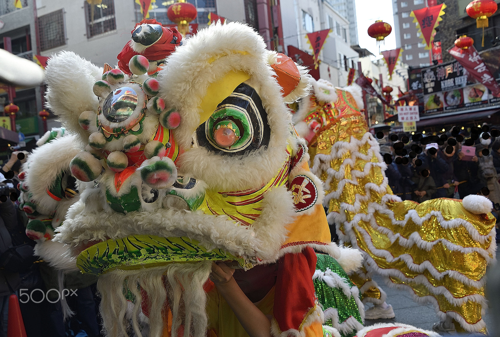 Nikon D800E sample photo. Lion dance～獅子舞～ photography