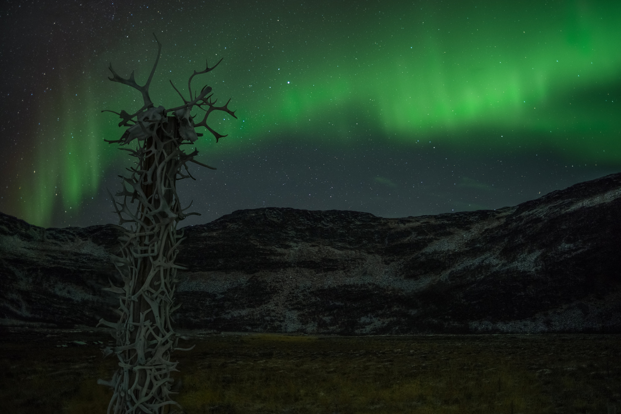 Pentax K-1 sample photo. Arctic auroras and bones photography