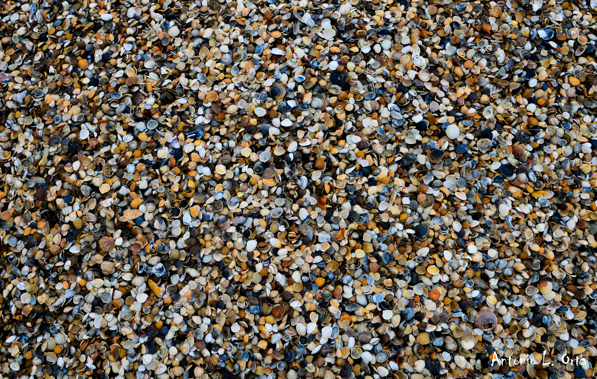 Nikon D3200 sample photo. Matices y colores photography