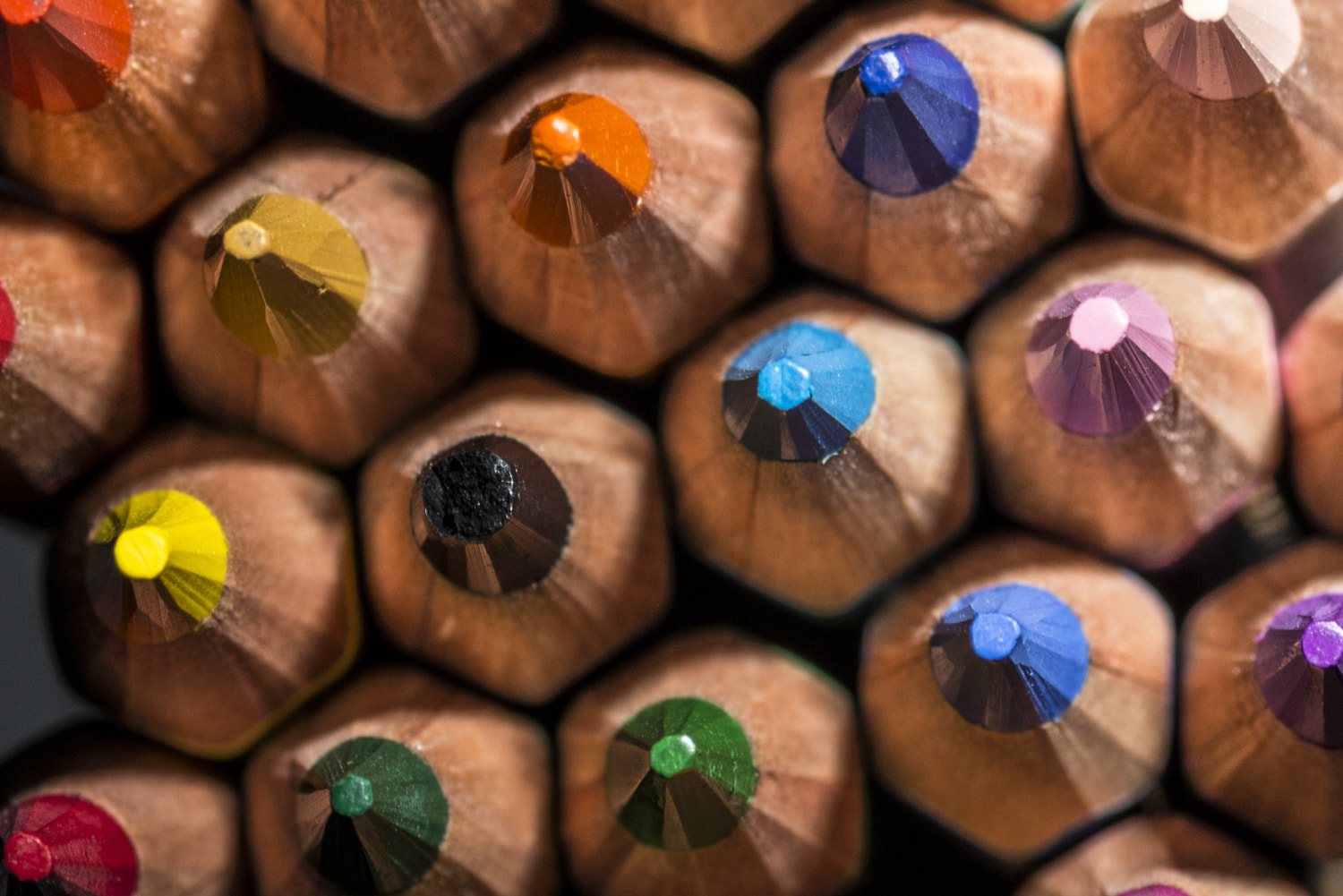 Nikon D800 sample photo. Colours photography