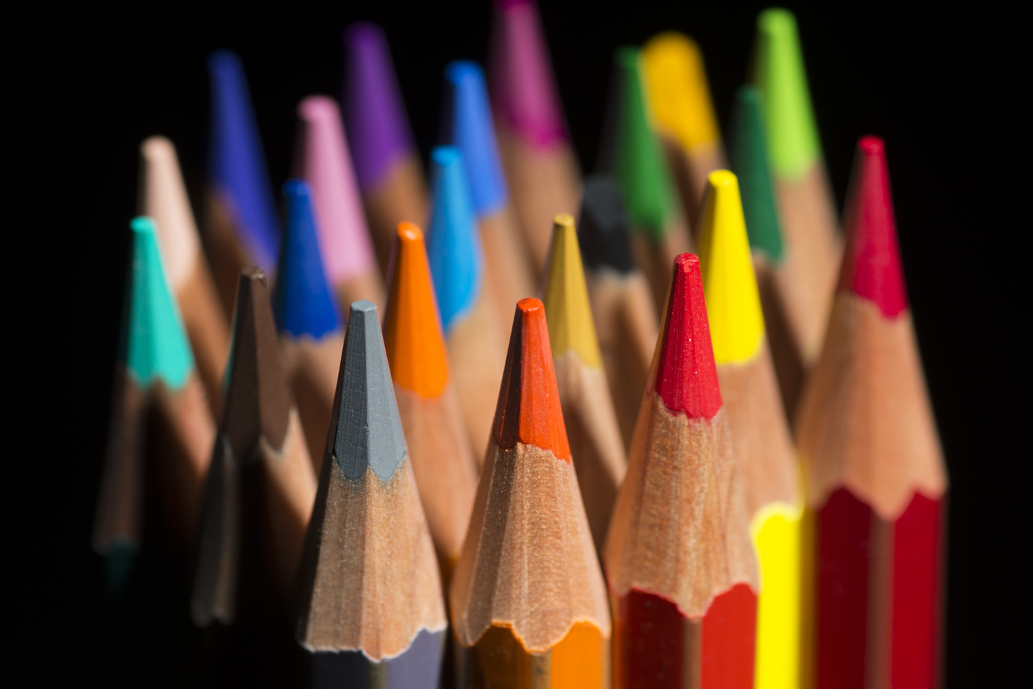 Nikon D800 sample photo. Colours photography