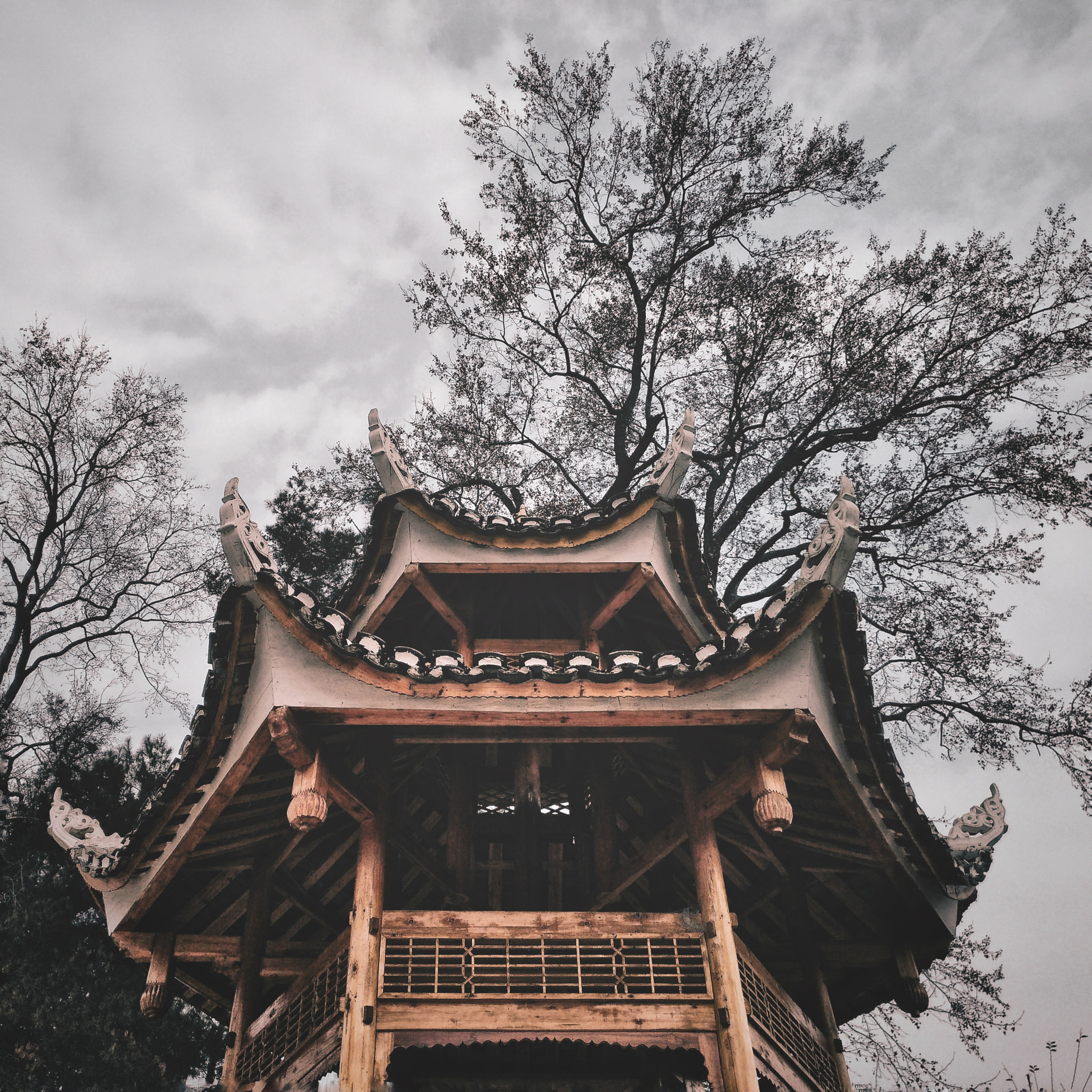 nubia Z11 MINI sample photo