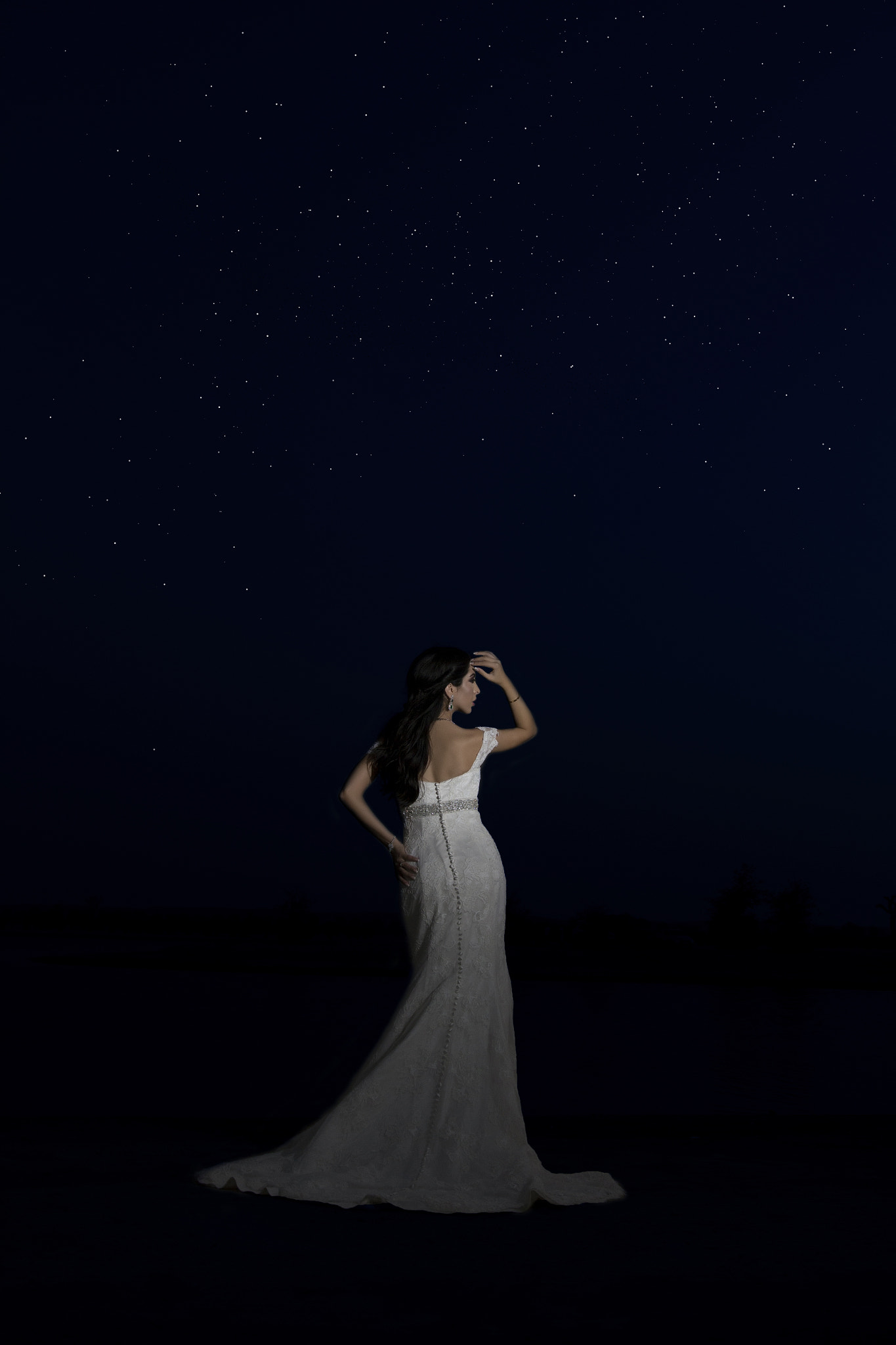 Sigma 18-35mm f/1.8 DC HSM sample photo. Beauty in dark photography