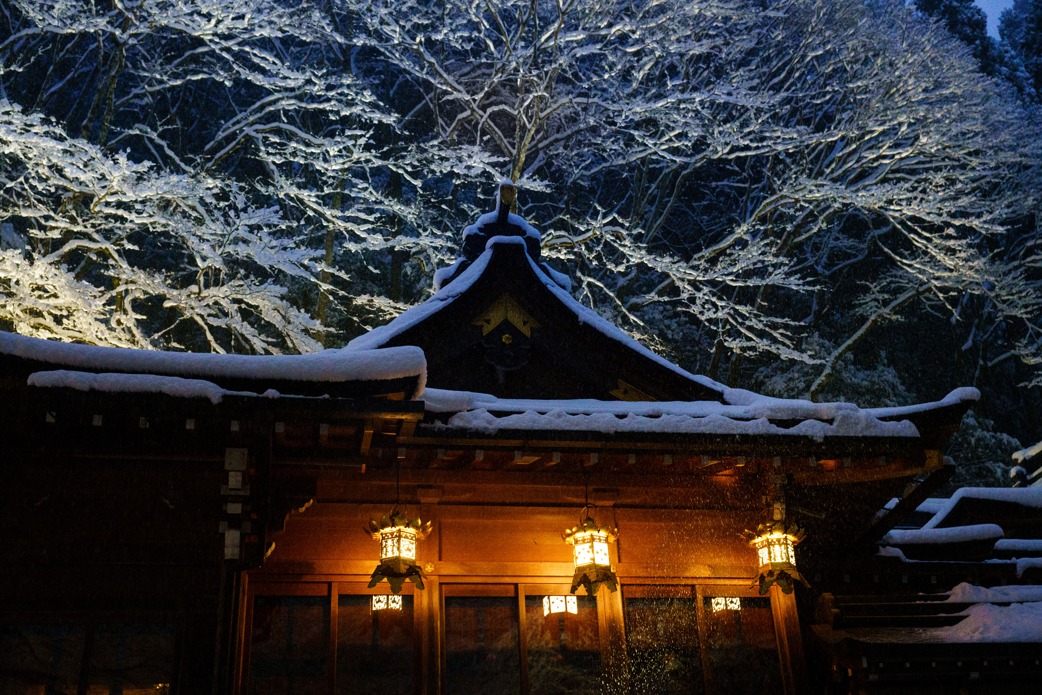 Sony a99 II sample photo. Snow on the shrine photography