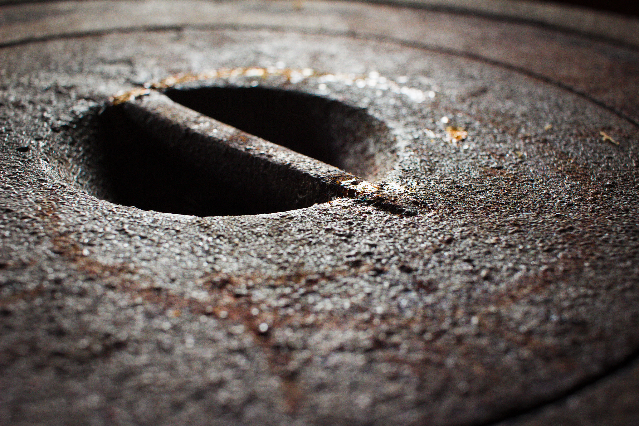 Canon EF-S 24mm F2.8 STM sample photo. Rust photography