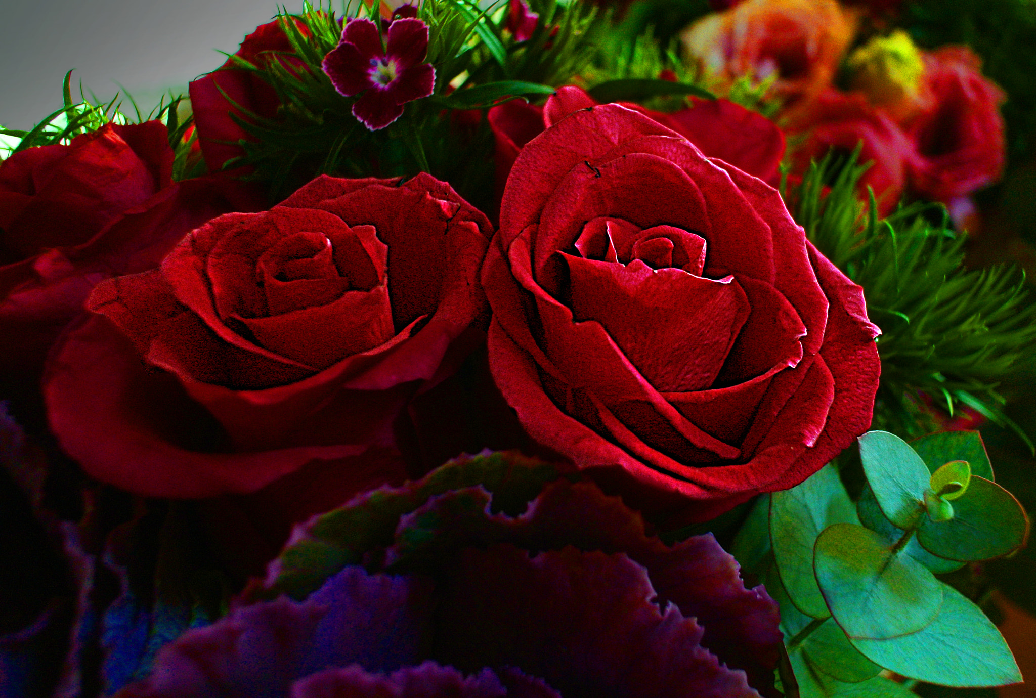 Nikon 1 V1 sample photo. Two roses photography
