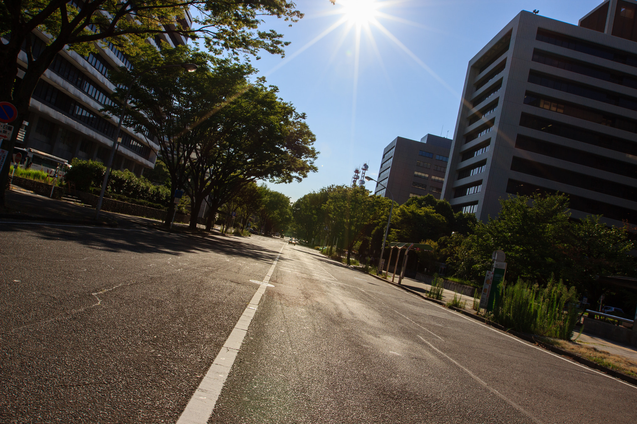 Canon EF 16-35mm F2.8L II USM sample photo. Soleil de plomb photography