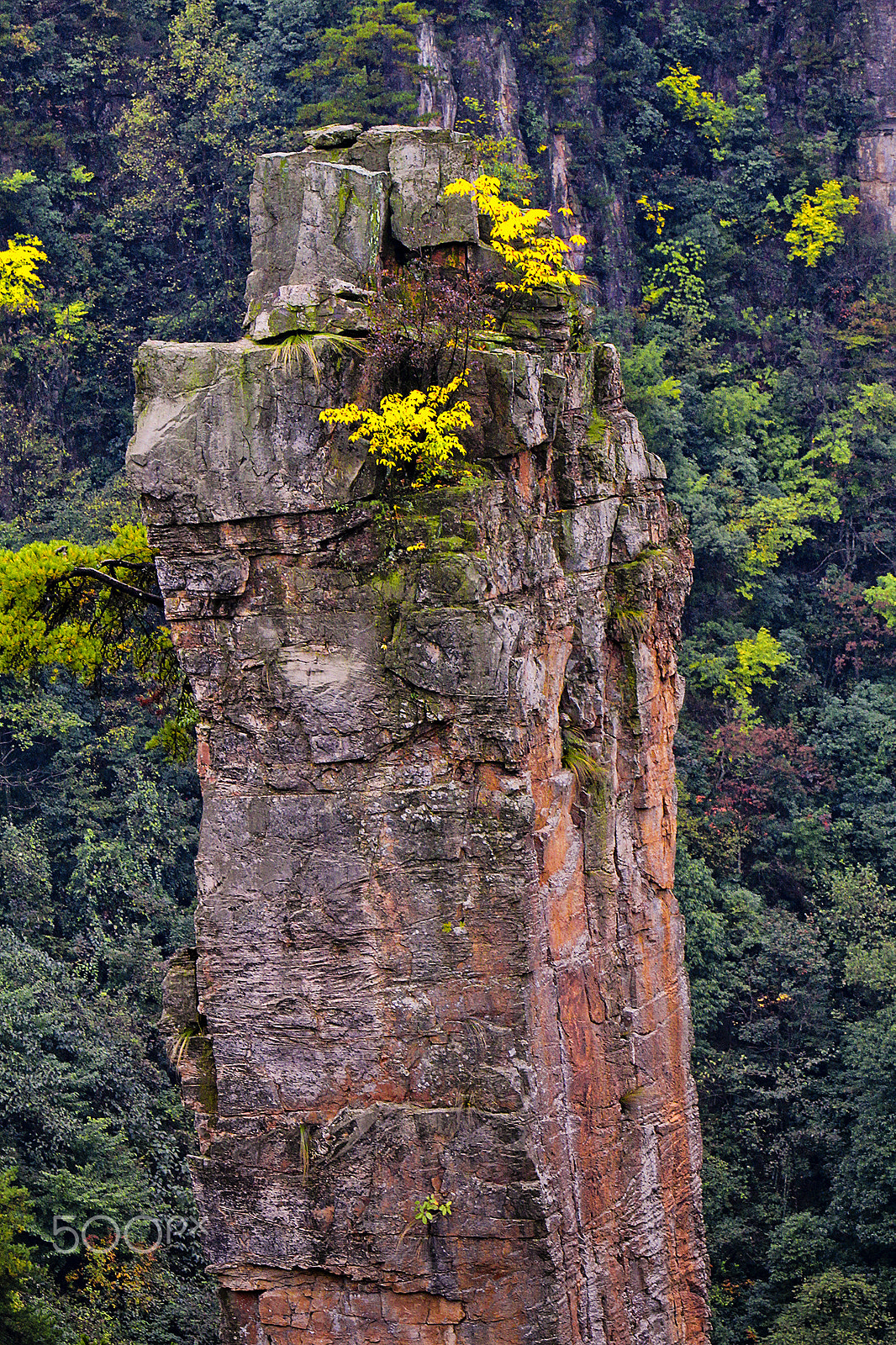 Canon EOS 60D + Canon EF 70-200mm F2.8L IS USM sample photo. Tianzi mountain nature reserve pinnacles photography