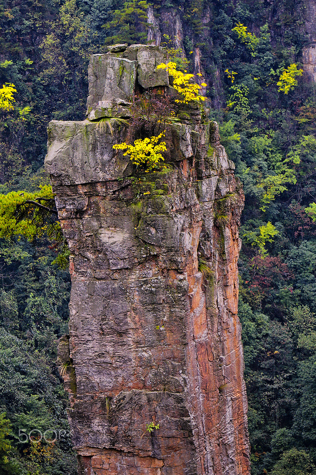 Canon EF 70-200mm F2.8L IS USM sample photo. Tianzi mountain nature reserve pinnacles photography
