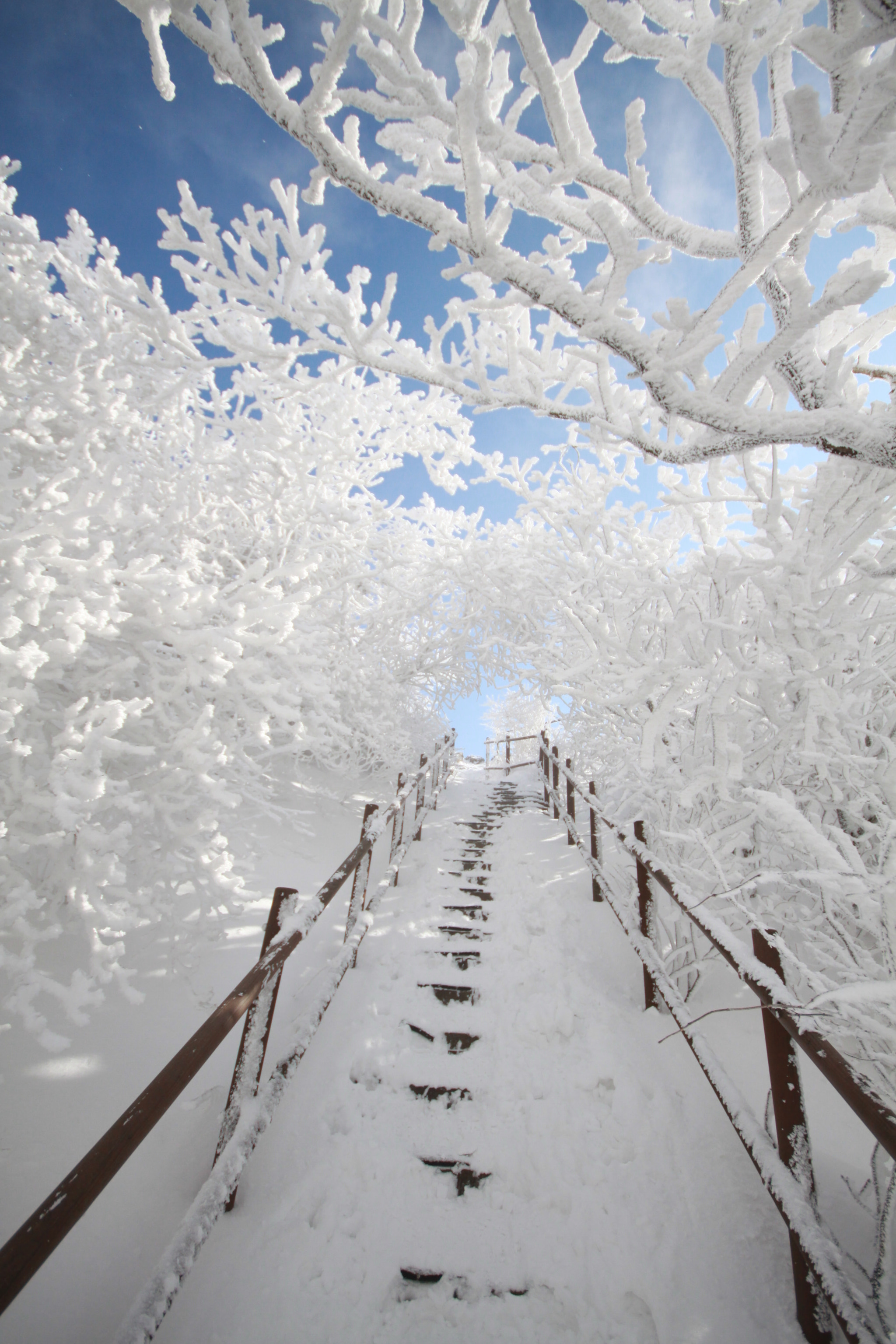 Canon EOS 50D + Sigma 10-20mm F4-5.6 EX DC HSM sample photo. Img photography