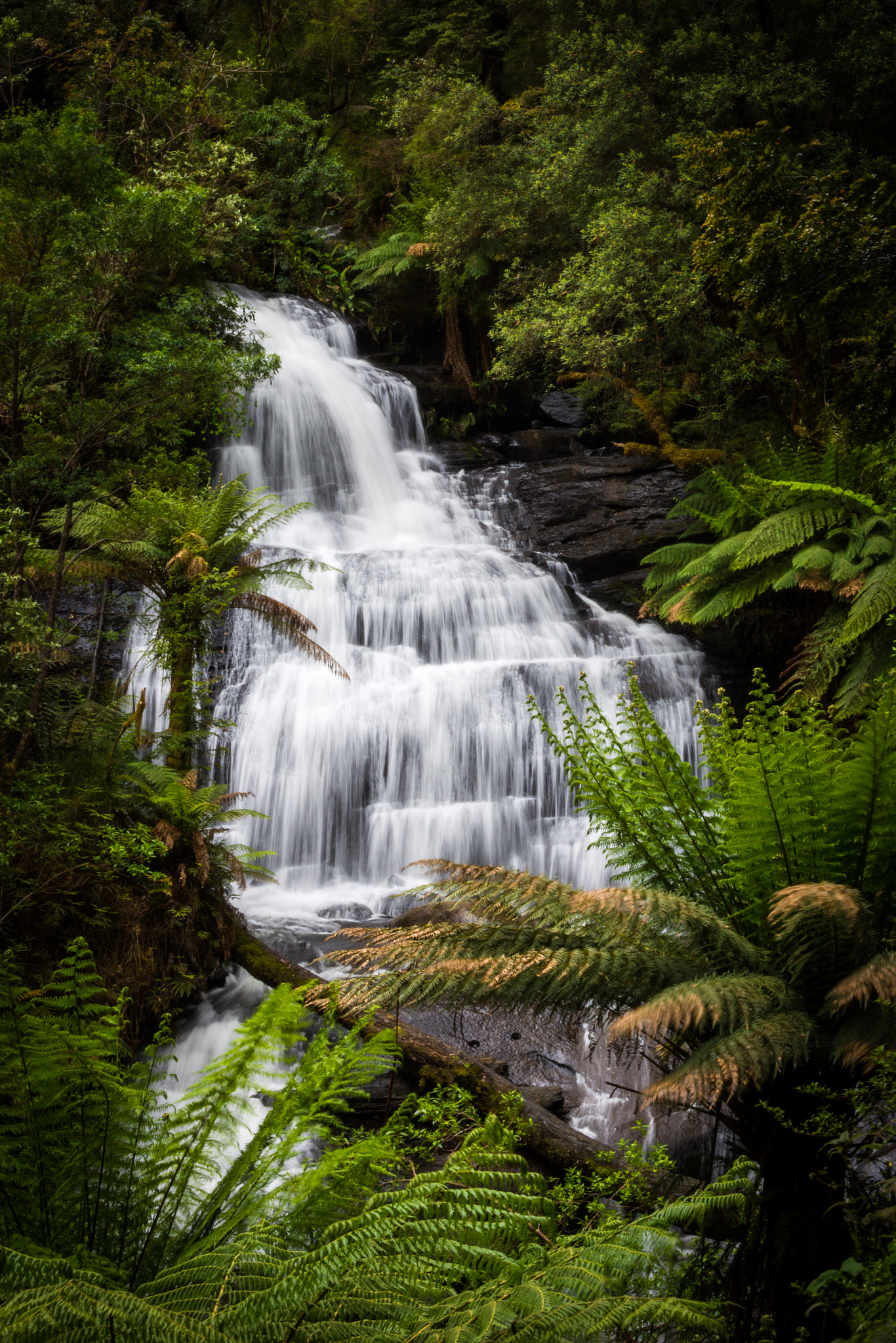 Nikon AF-S Nikkor 24-120mm F4G ED VR sample photo. Triplet falls photography